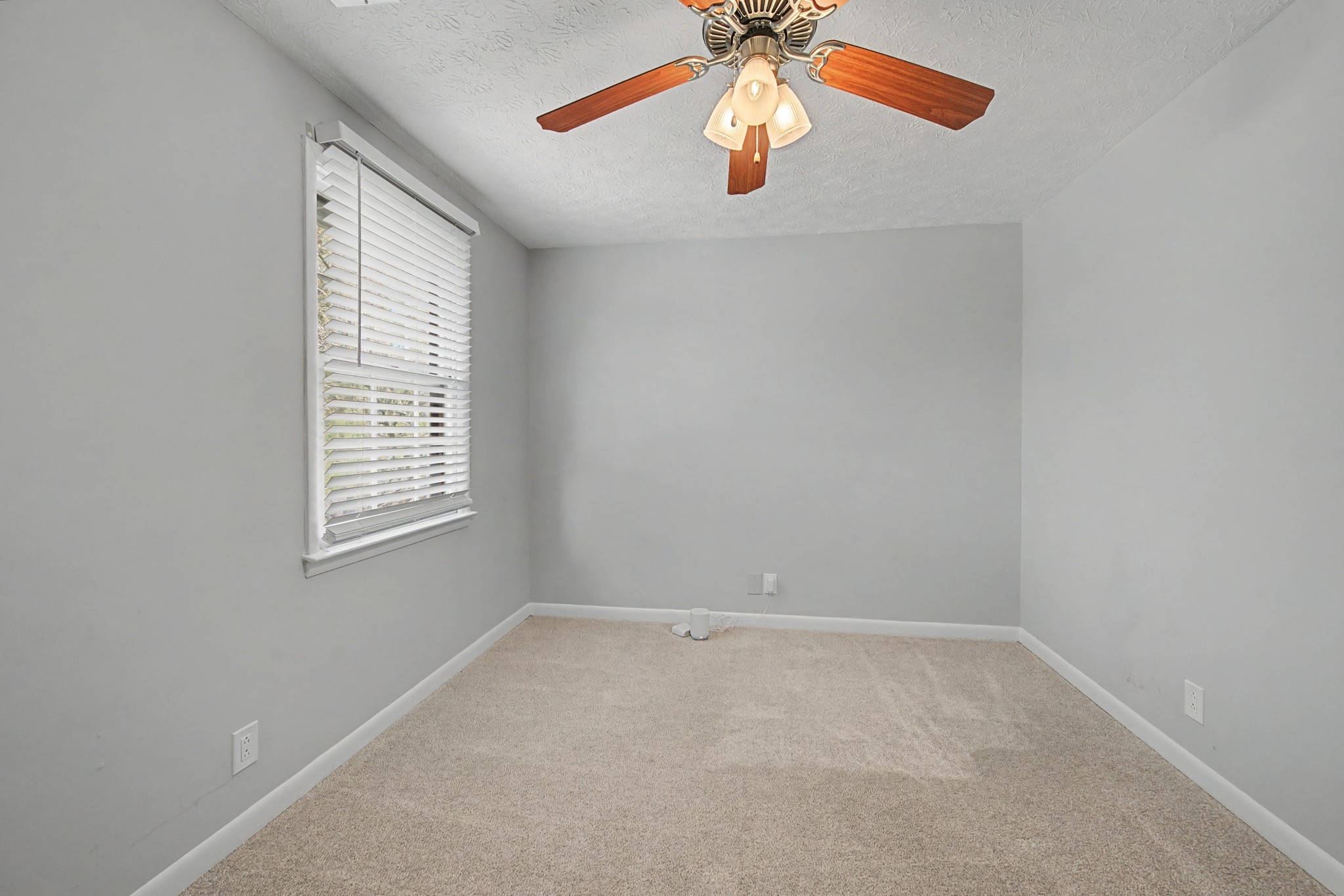 509 Alexander Dr