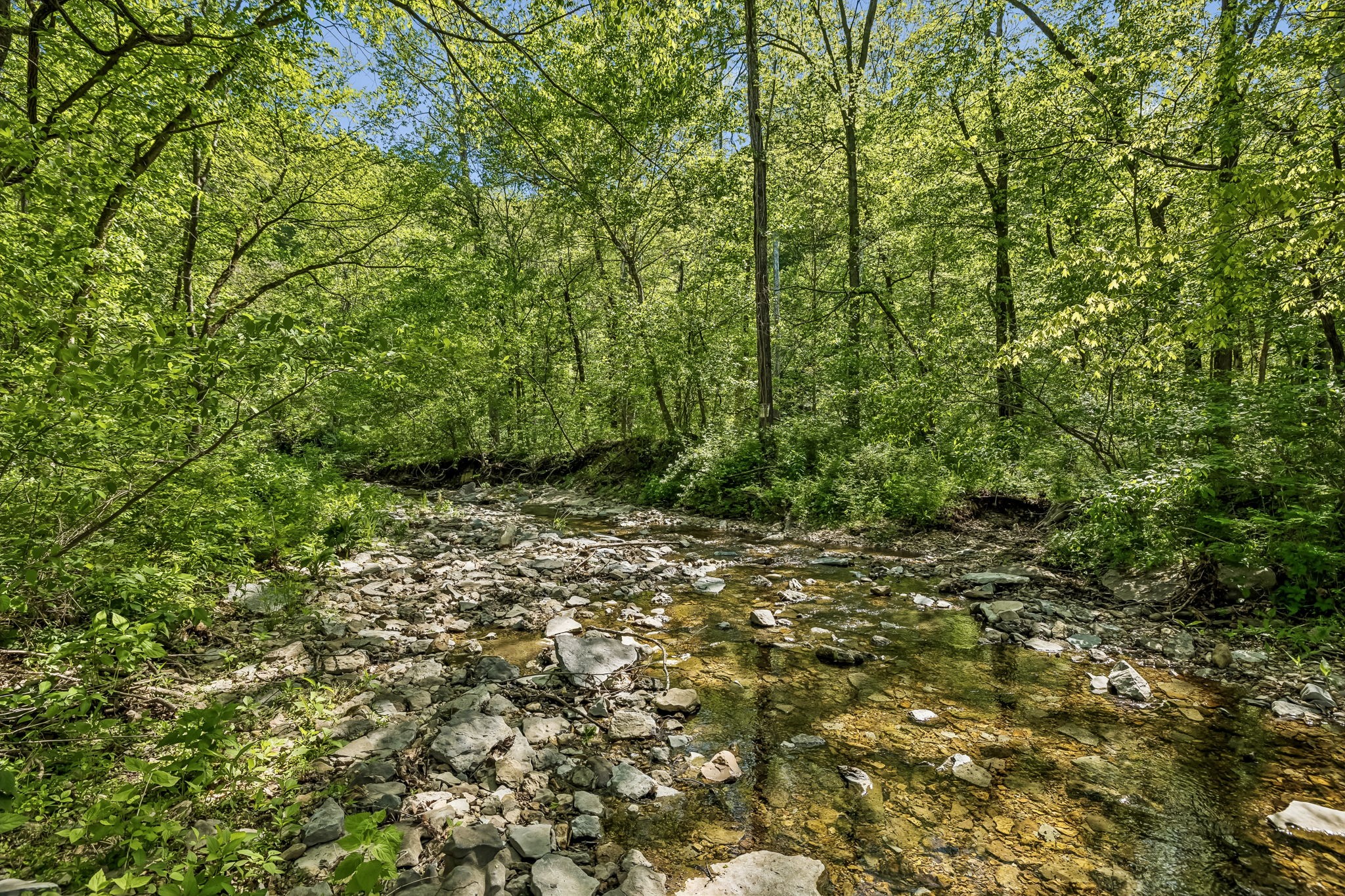 644 W Fork Rd