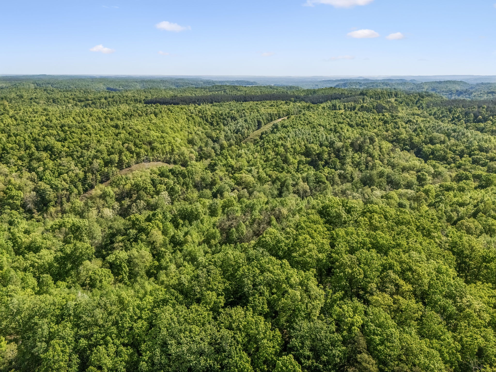644 W Fork Rd