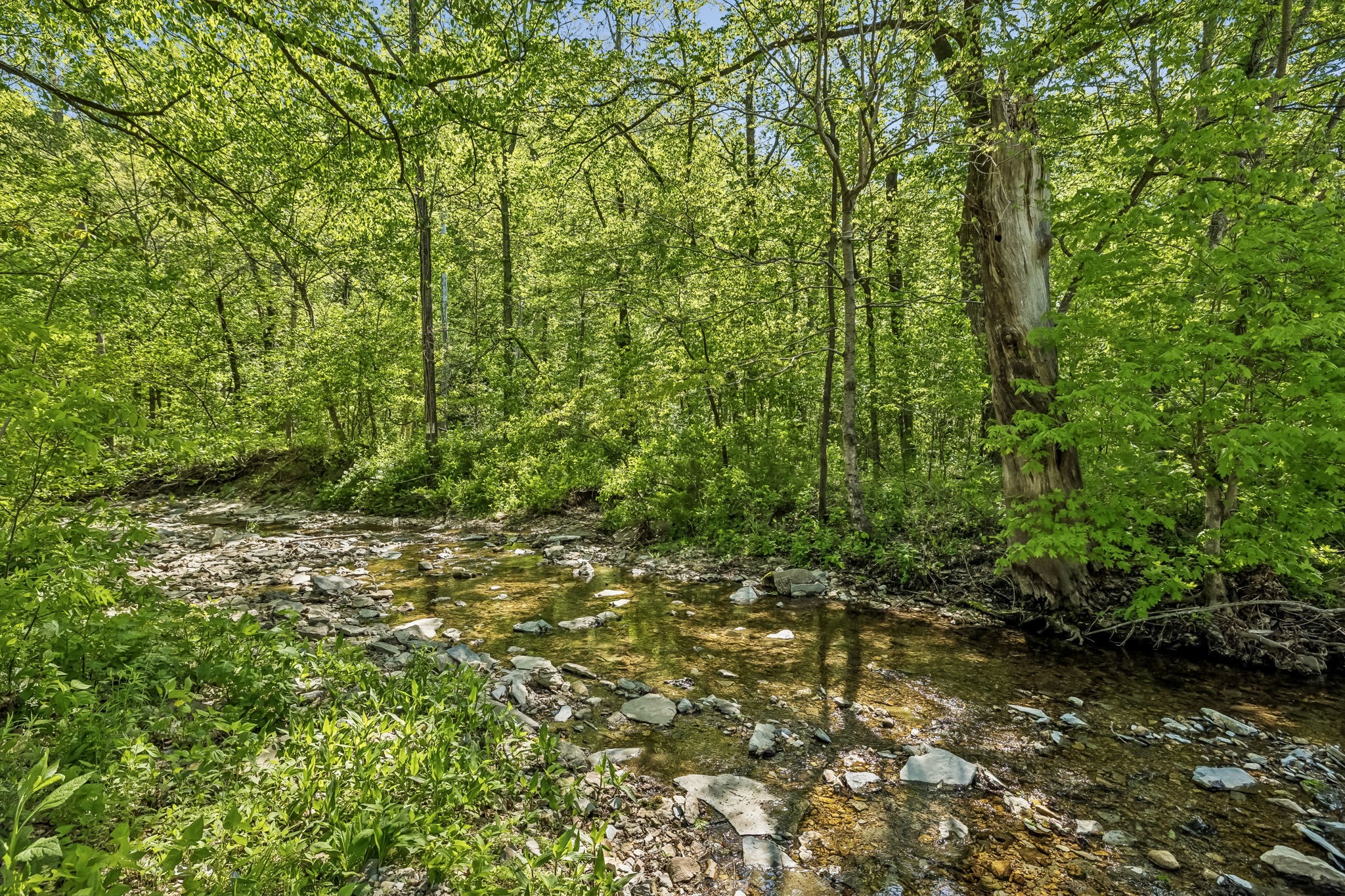 644 W Fork Rd