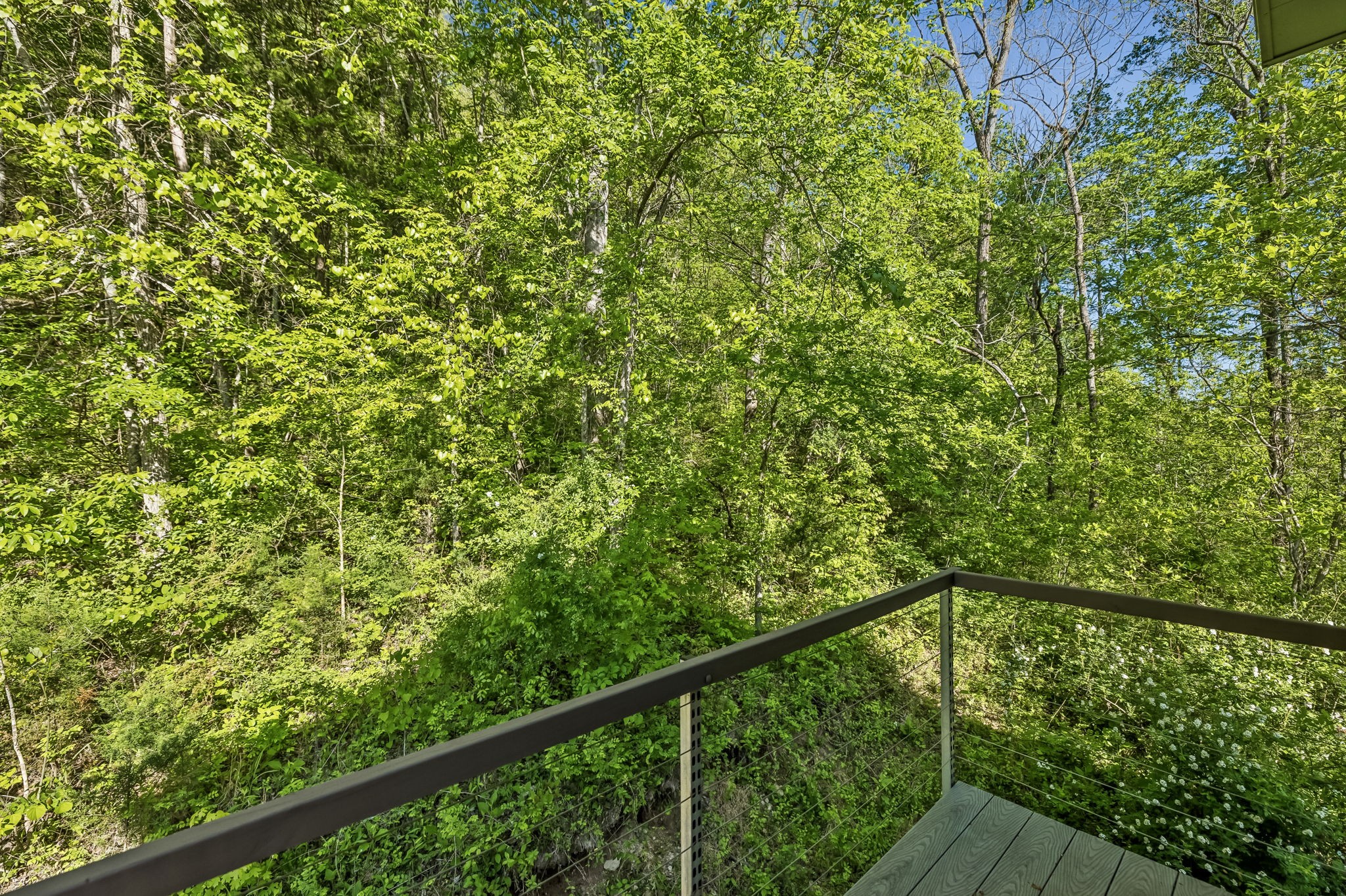 644 W Fork Rd