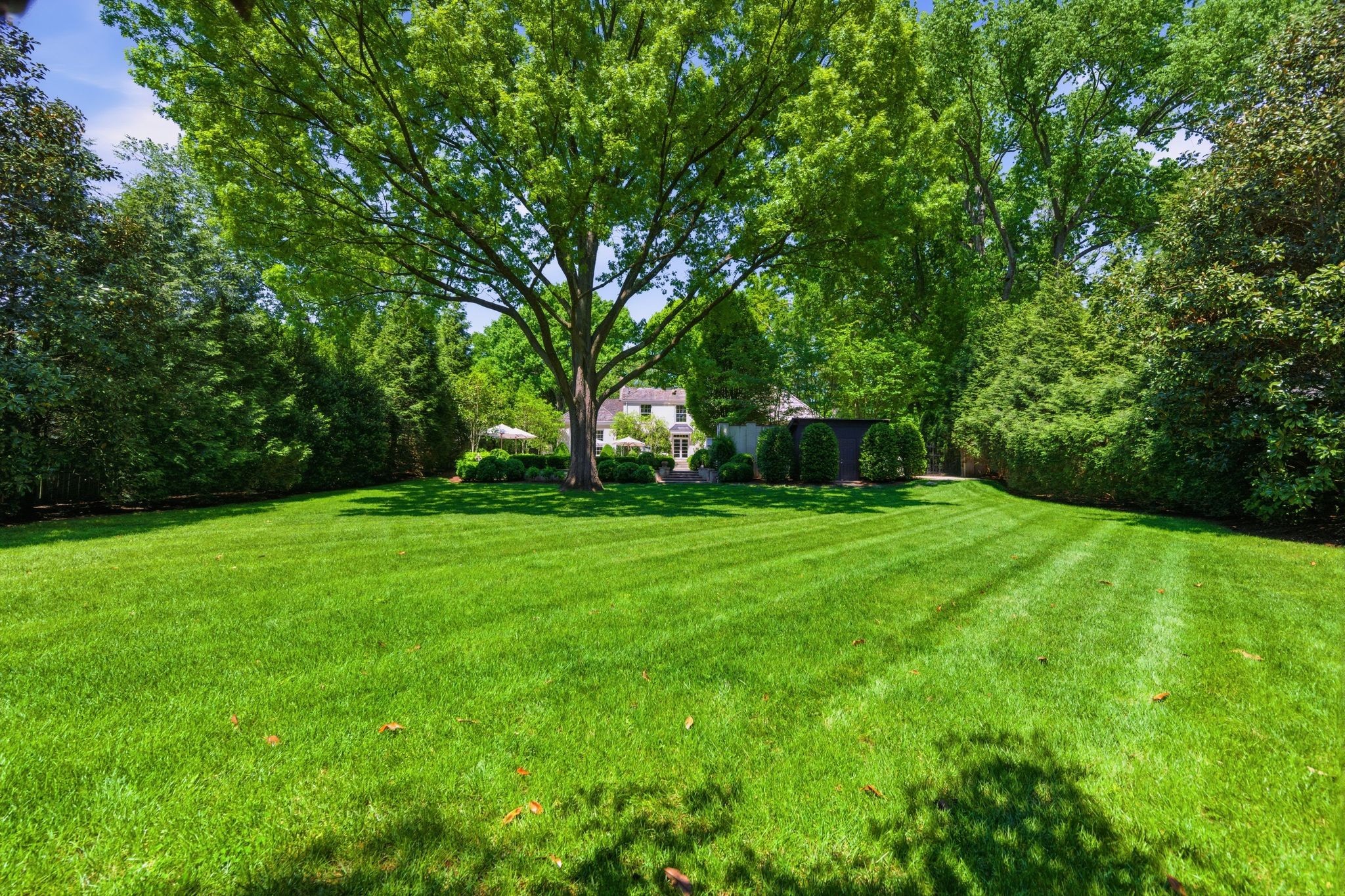 3701 Woodlawn Dr