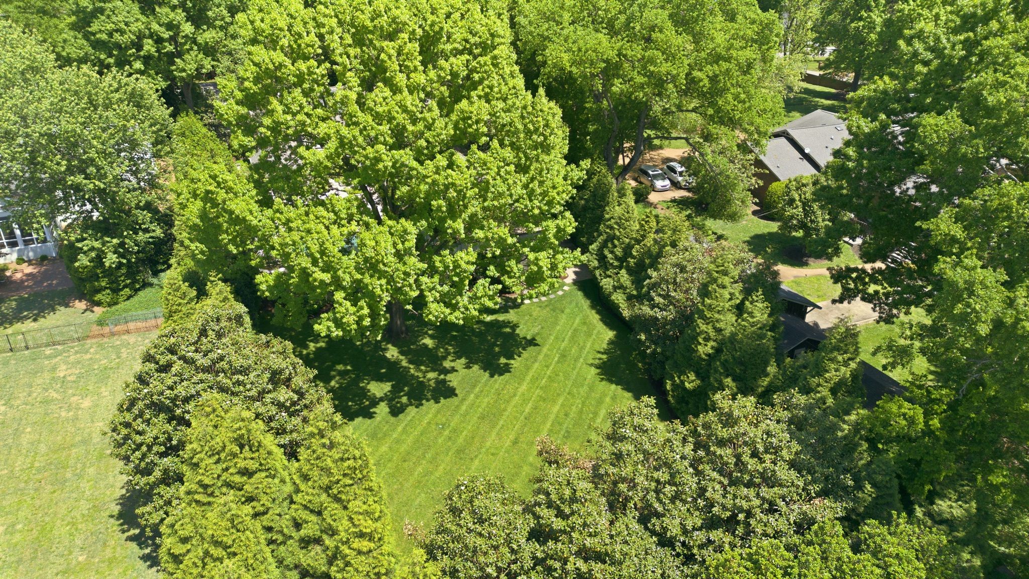 3701 Woodlawn Dr