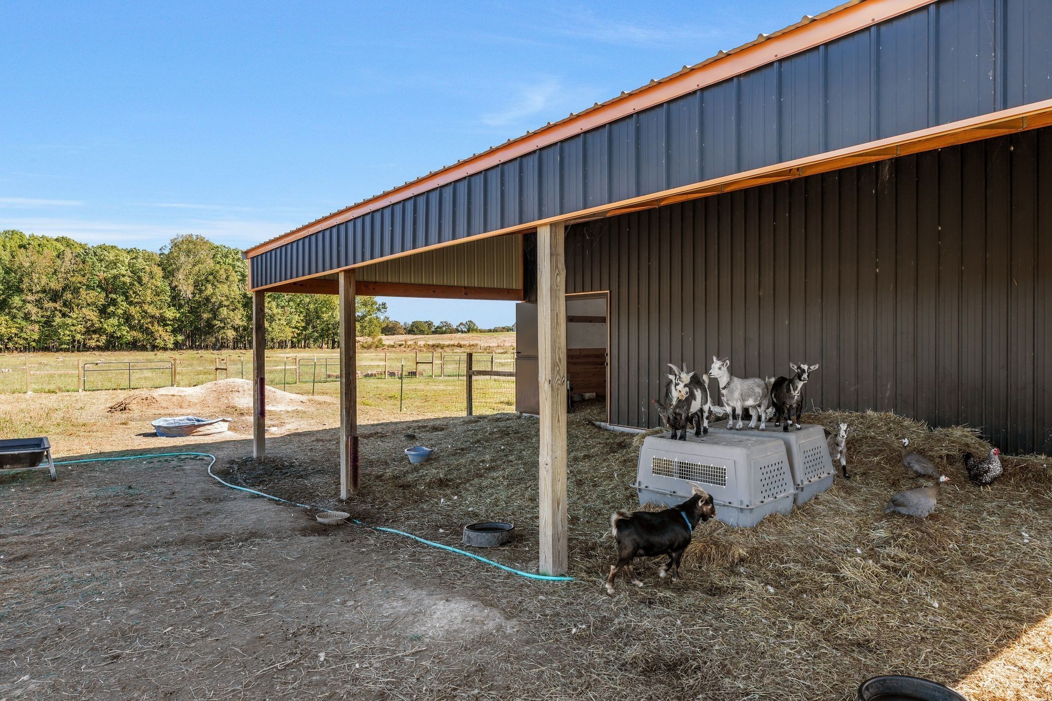 128 Emma Ln