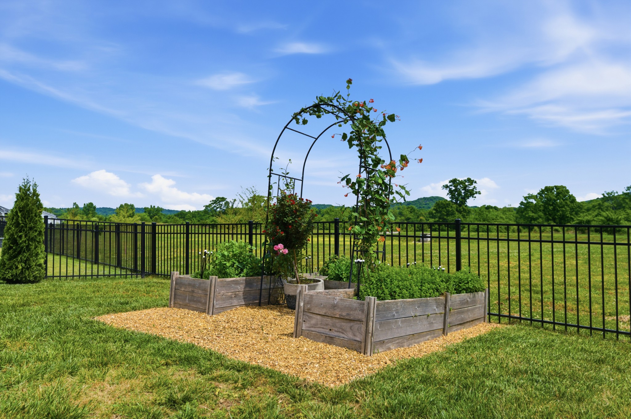 3472 Burgate Trl