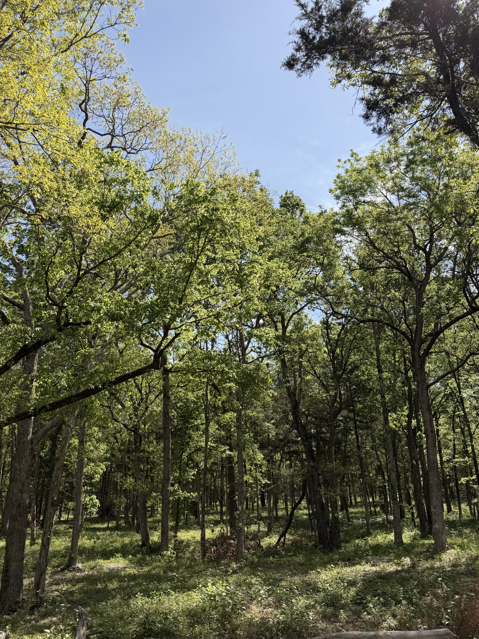 0 Millersburg Road