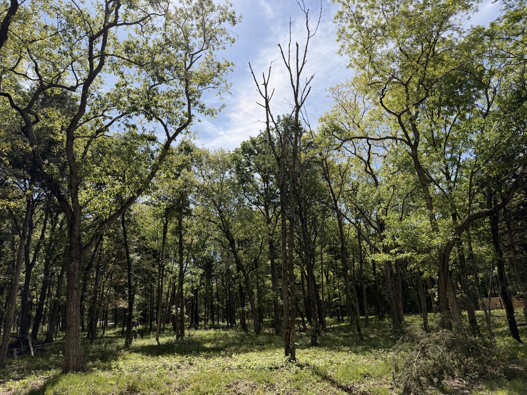 0 Millersburg Road
