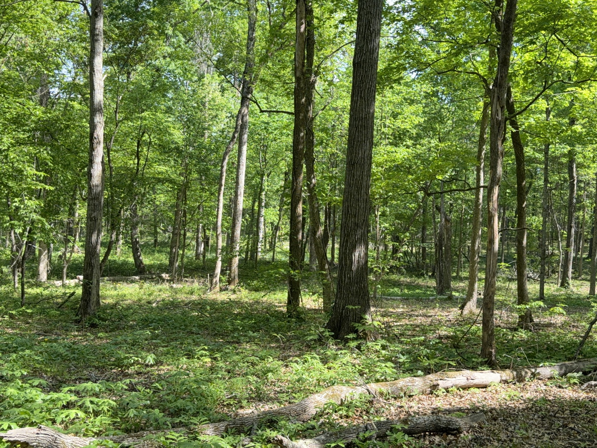 0 Millersburg Road