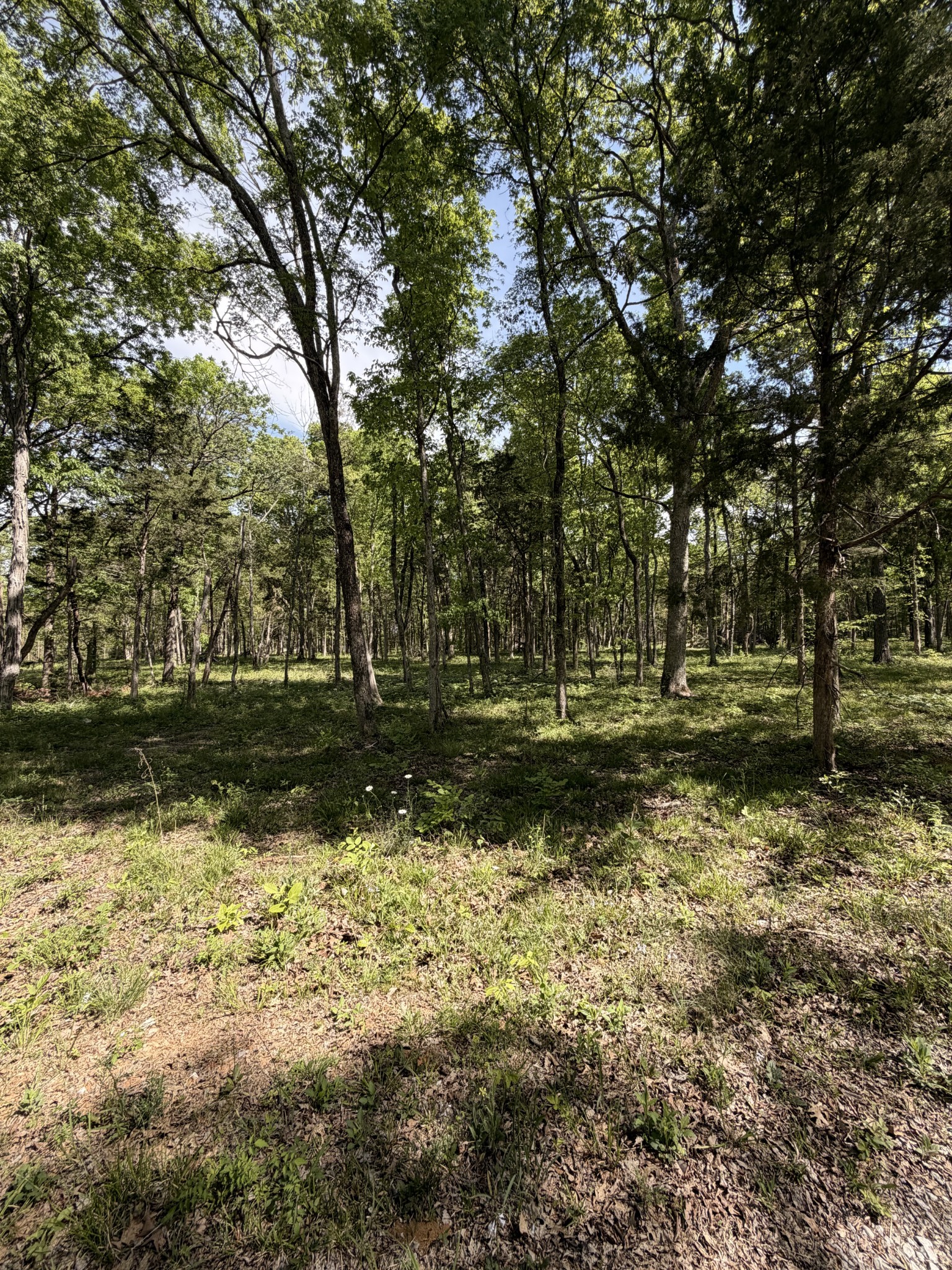 0 Millersburg Road