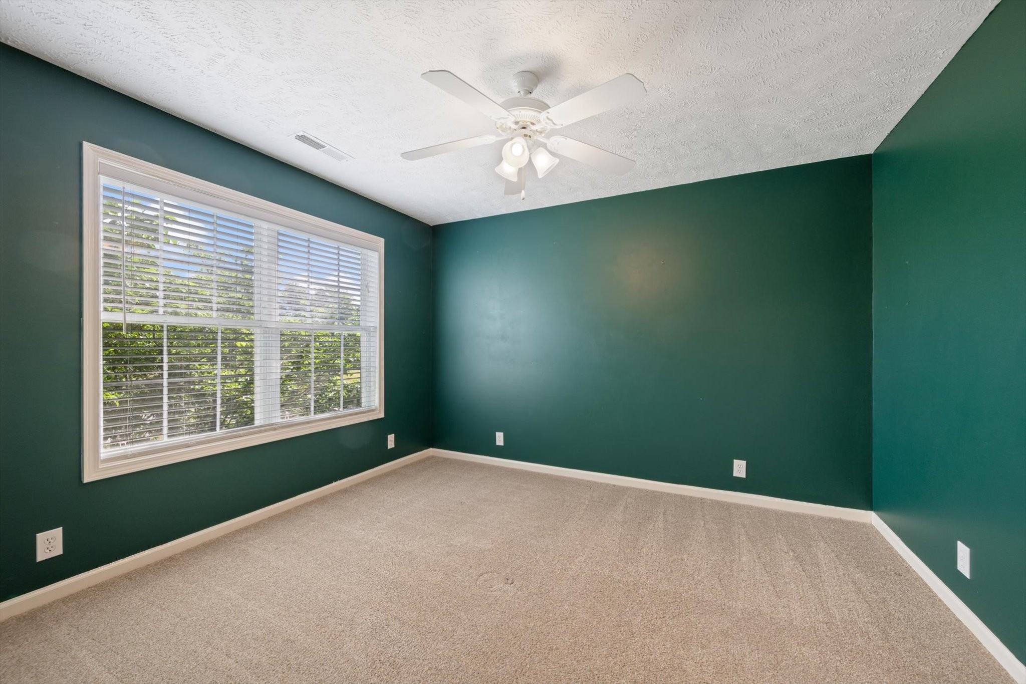 319 Eclipse Dr