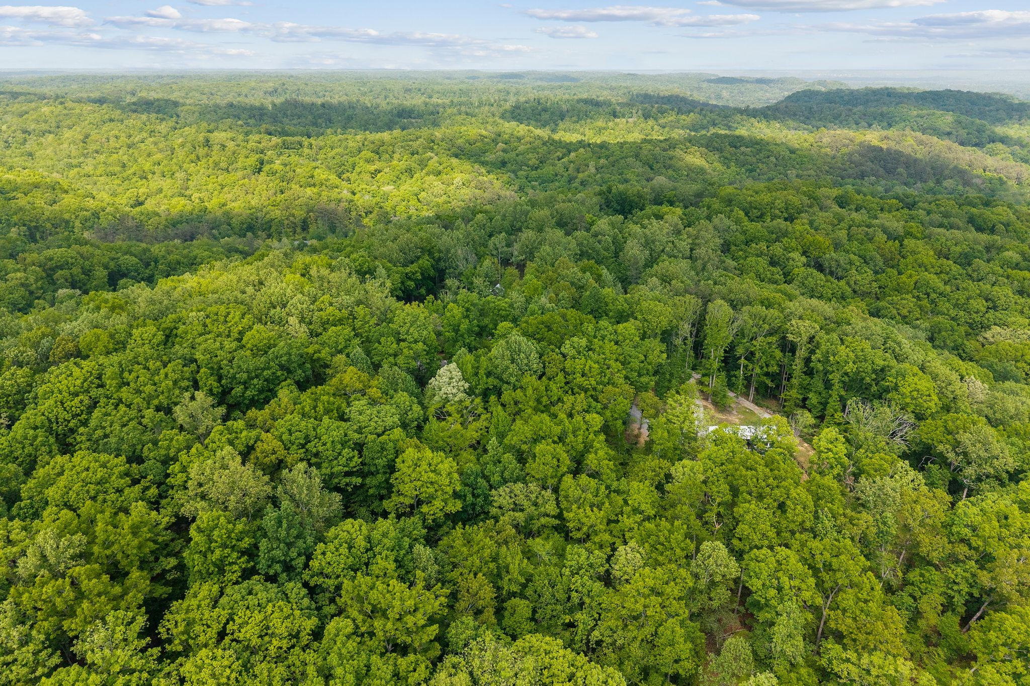 5621 Parker Branch Trl