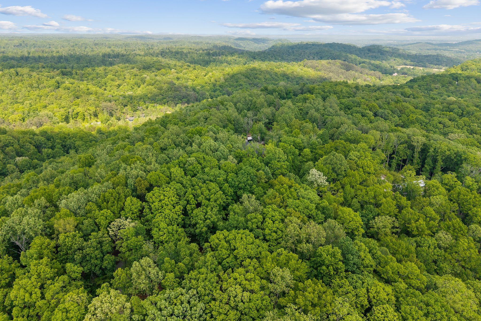 5621 Parker Branch Trl
