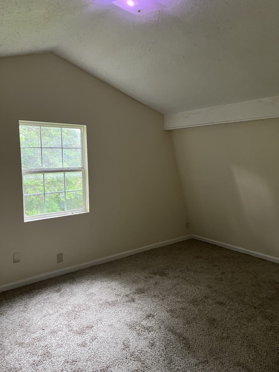 1706 Lascassas Pike