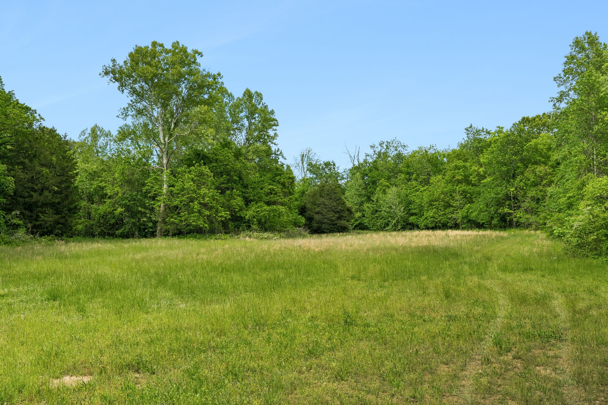 1675 Balthrop Branch Rd