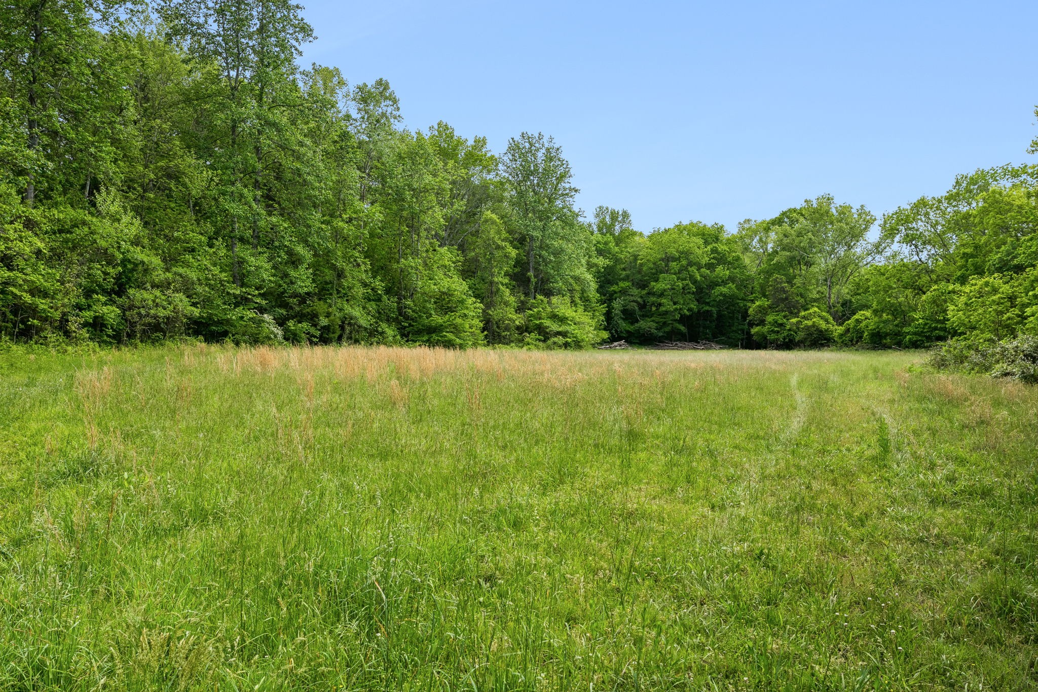 1675 Balthrop Branch Rd