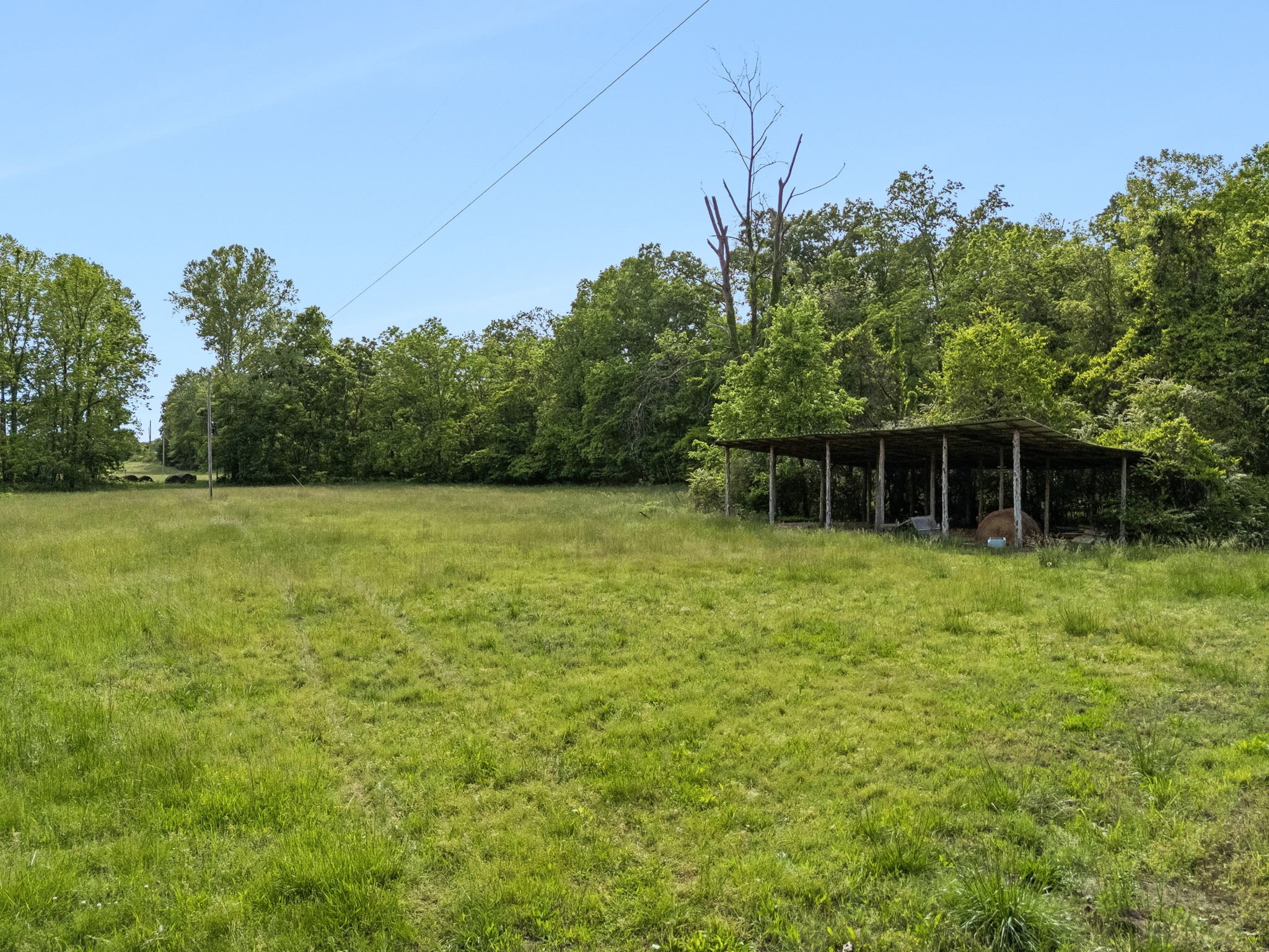1675 Balthrop Branch Rd