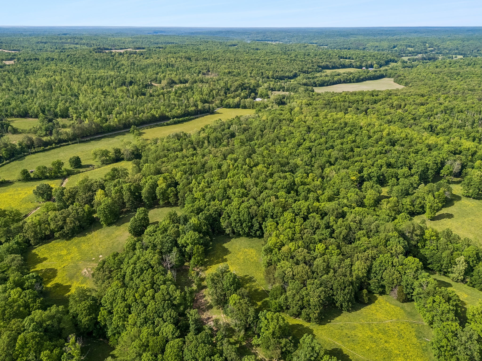 1675 Balthrop Branch Rd