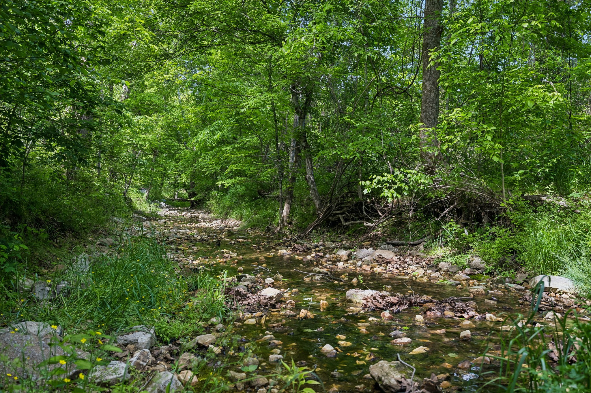 1675 Balthrop Branch Rd