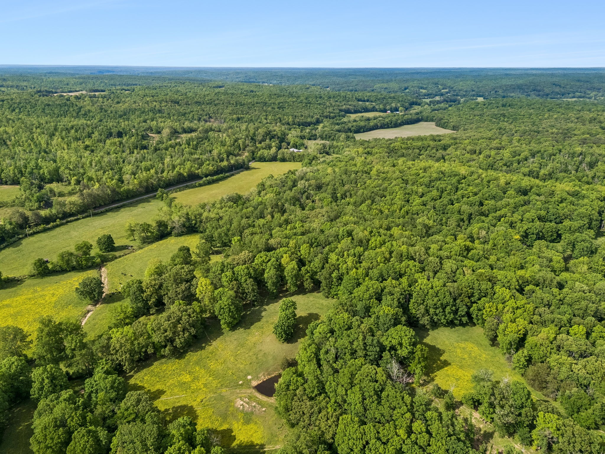 1675 Balthrop Branch Rd
