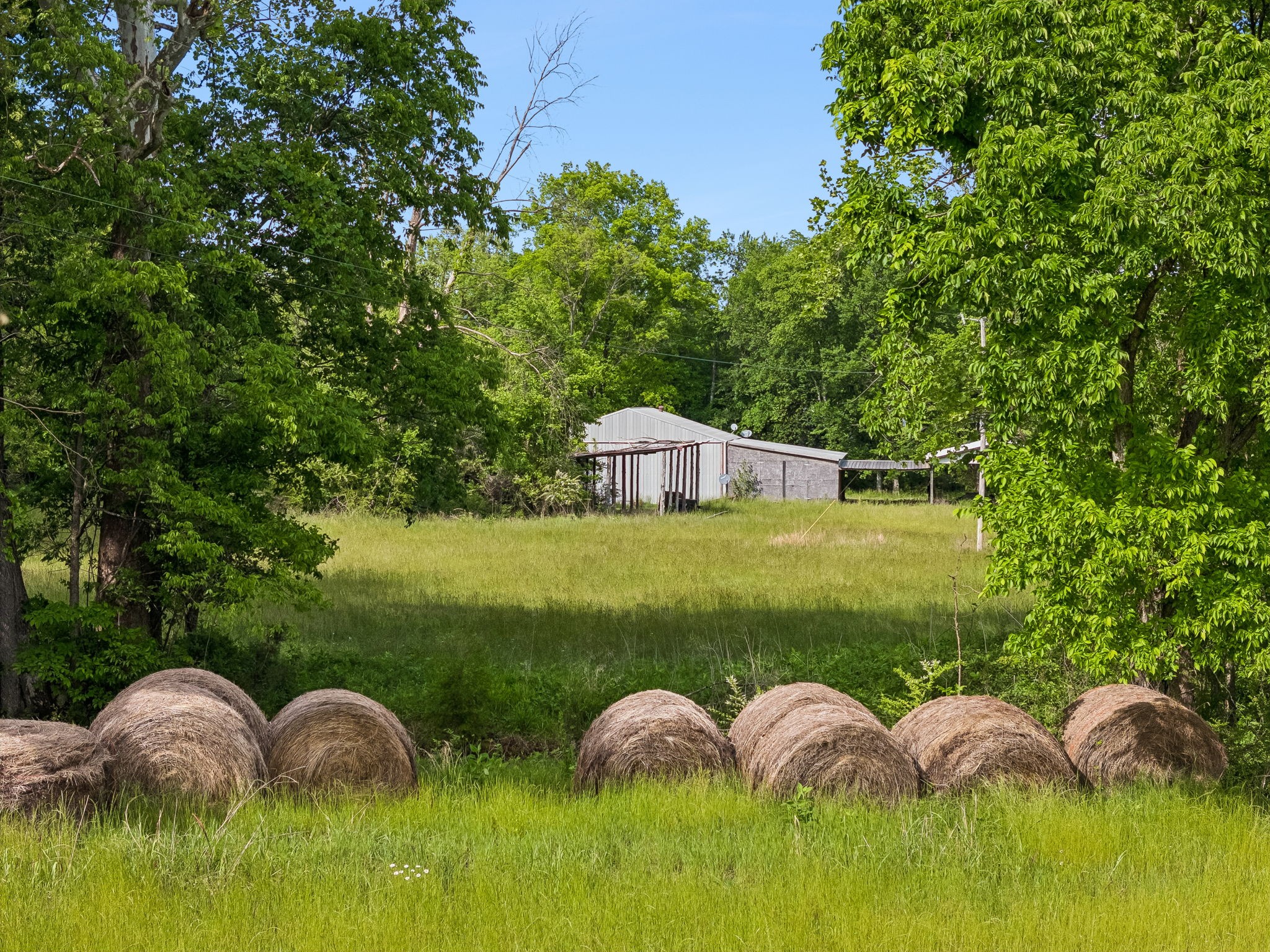 1675 Balthrop Branch Rd