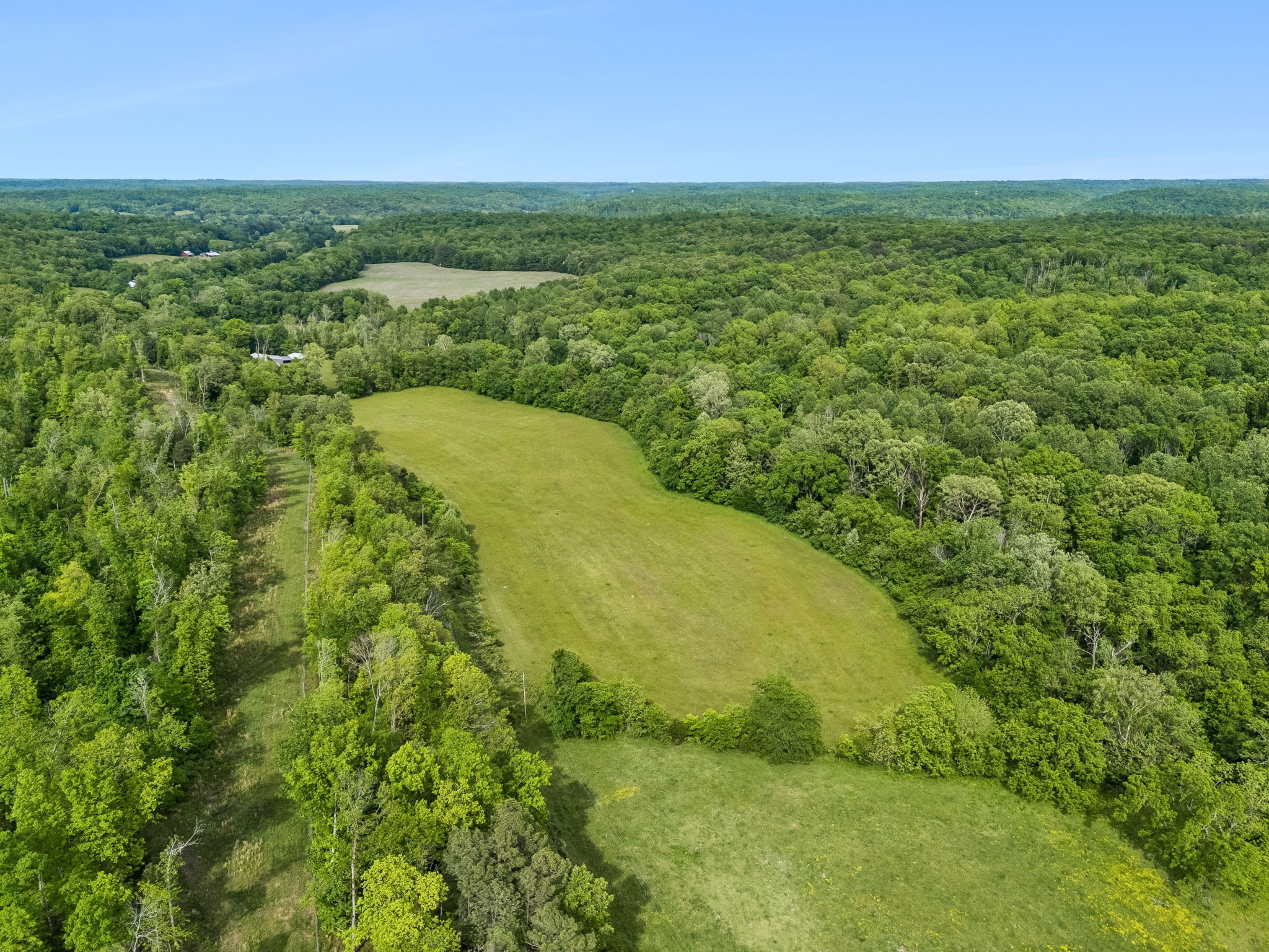 1675 Balthrop Branch Rd