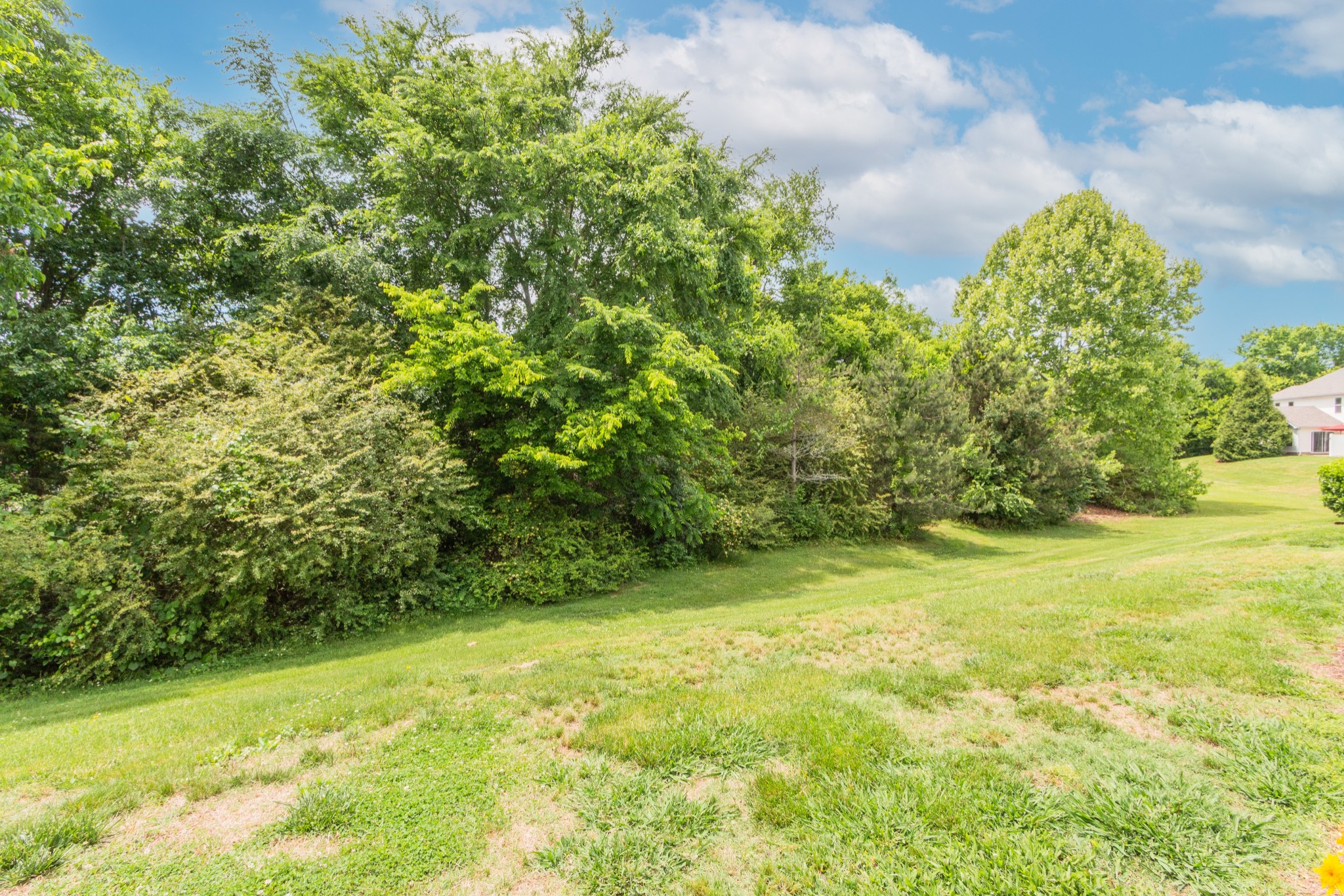 1056 Somerset Springs Dr