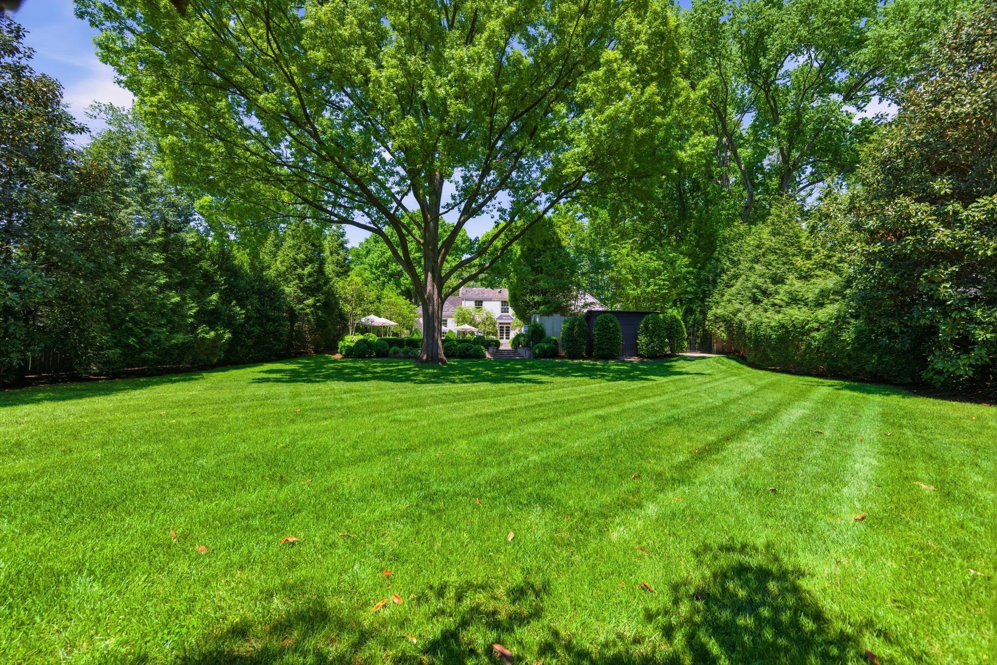 3701 Woodlawn Dr