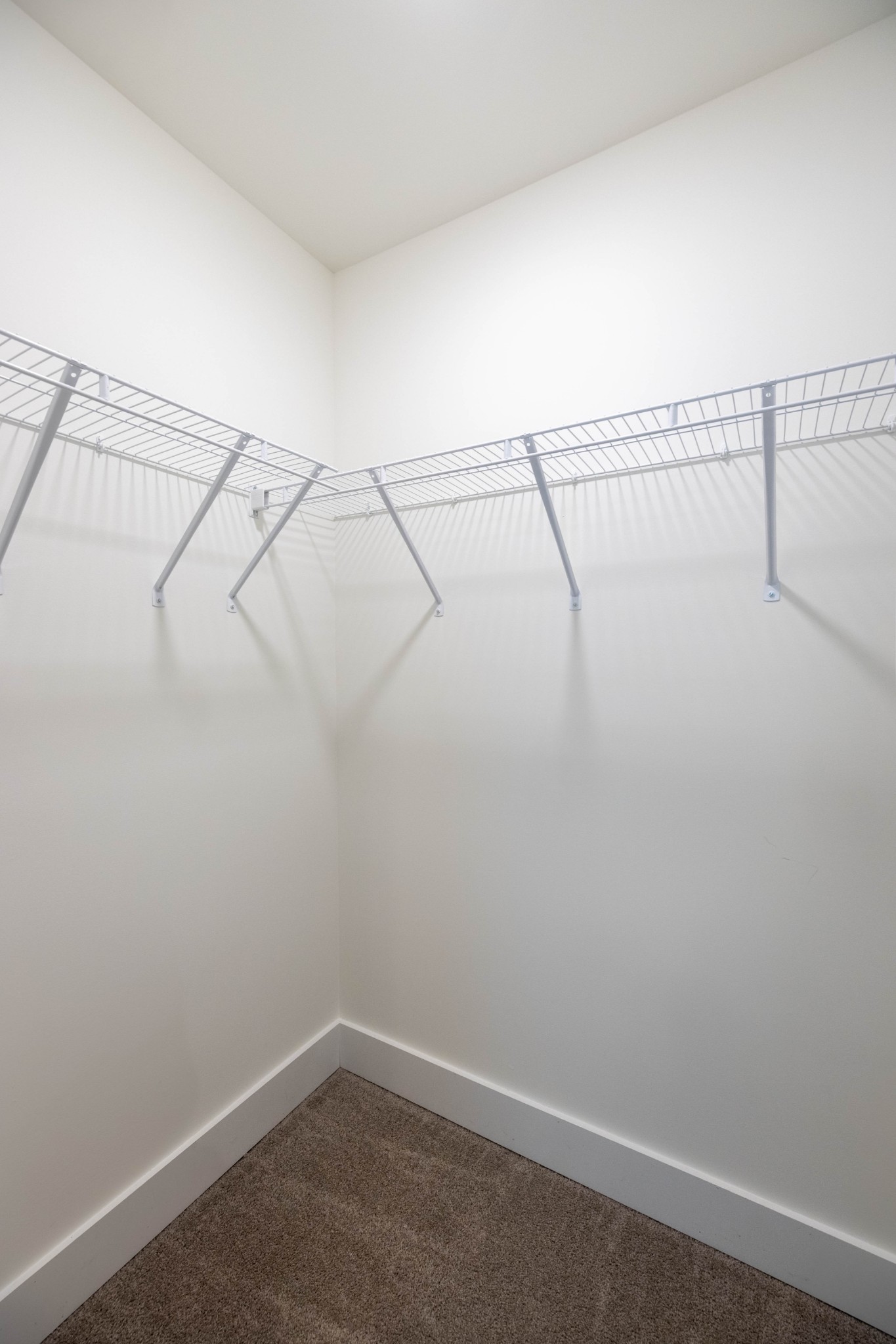 1079 Sweetleaf Dr