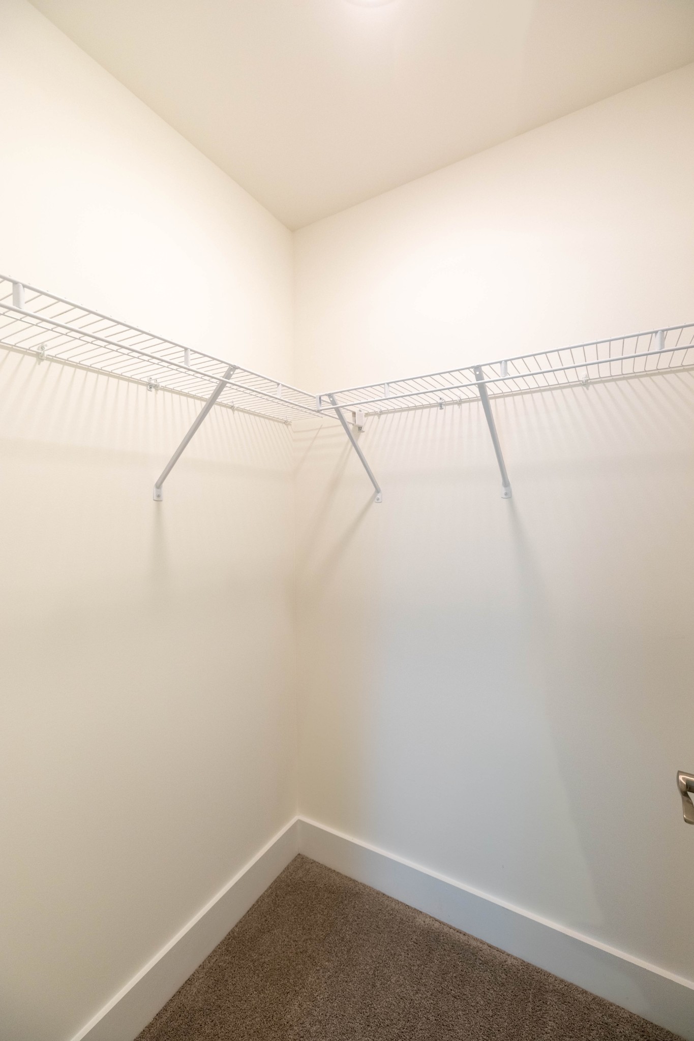1109 Sweetleaf Dr