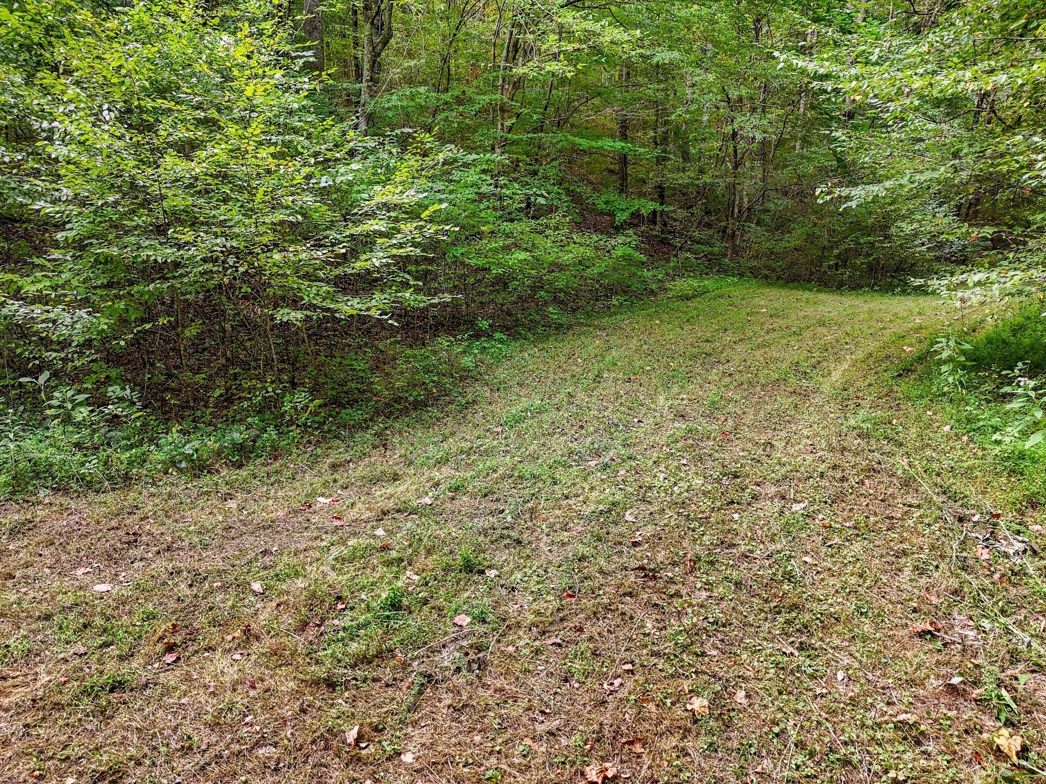 1344 Cut Off Rd