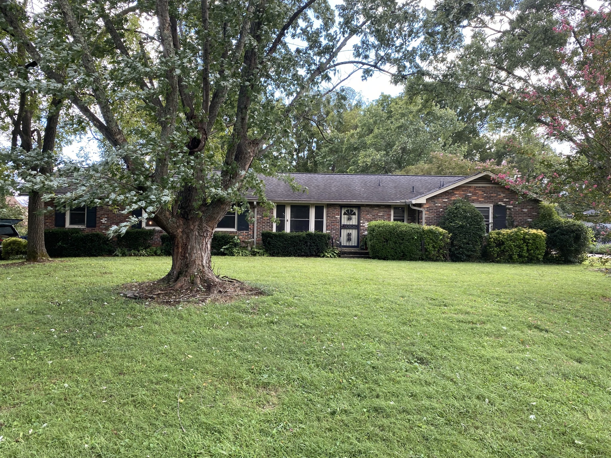 443 Oakley Dr