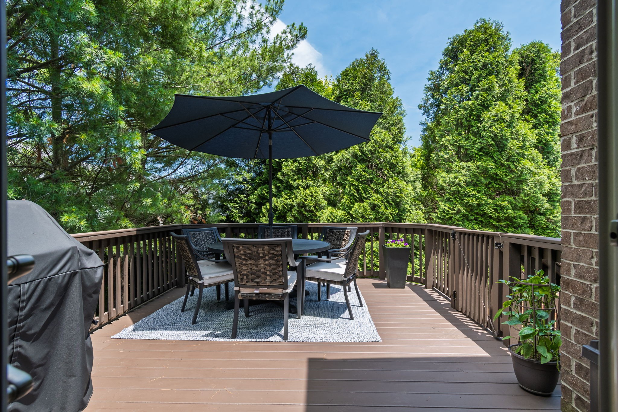 215 Terri Park Way