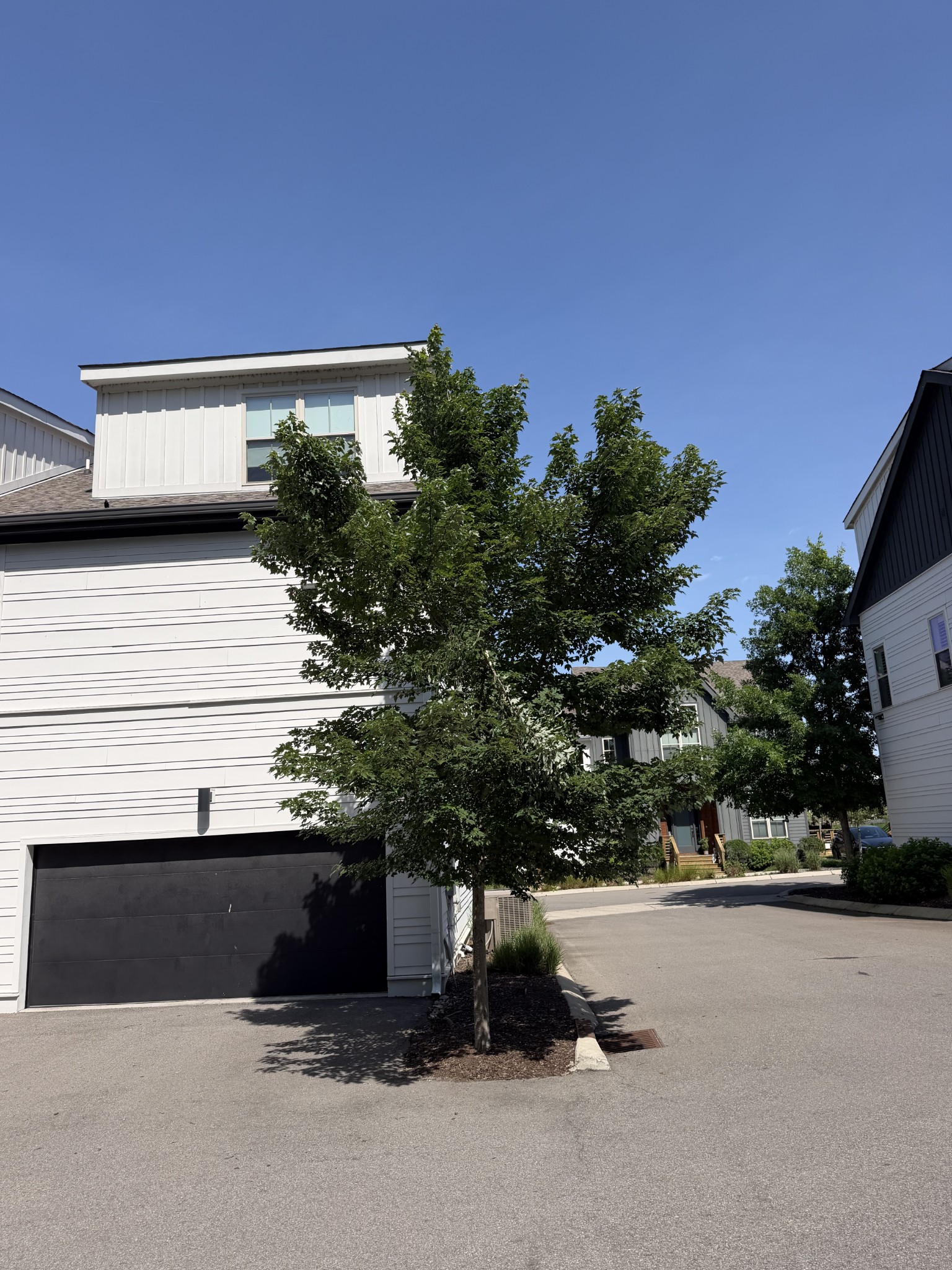 647 Nashua Ln
