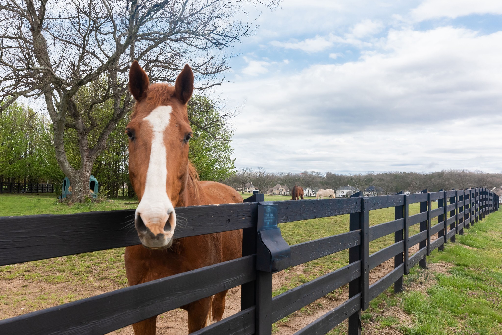 5009 Native Pony Trl