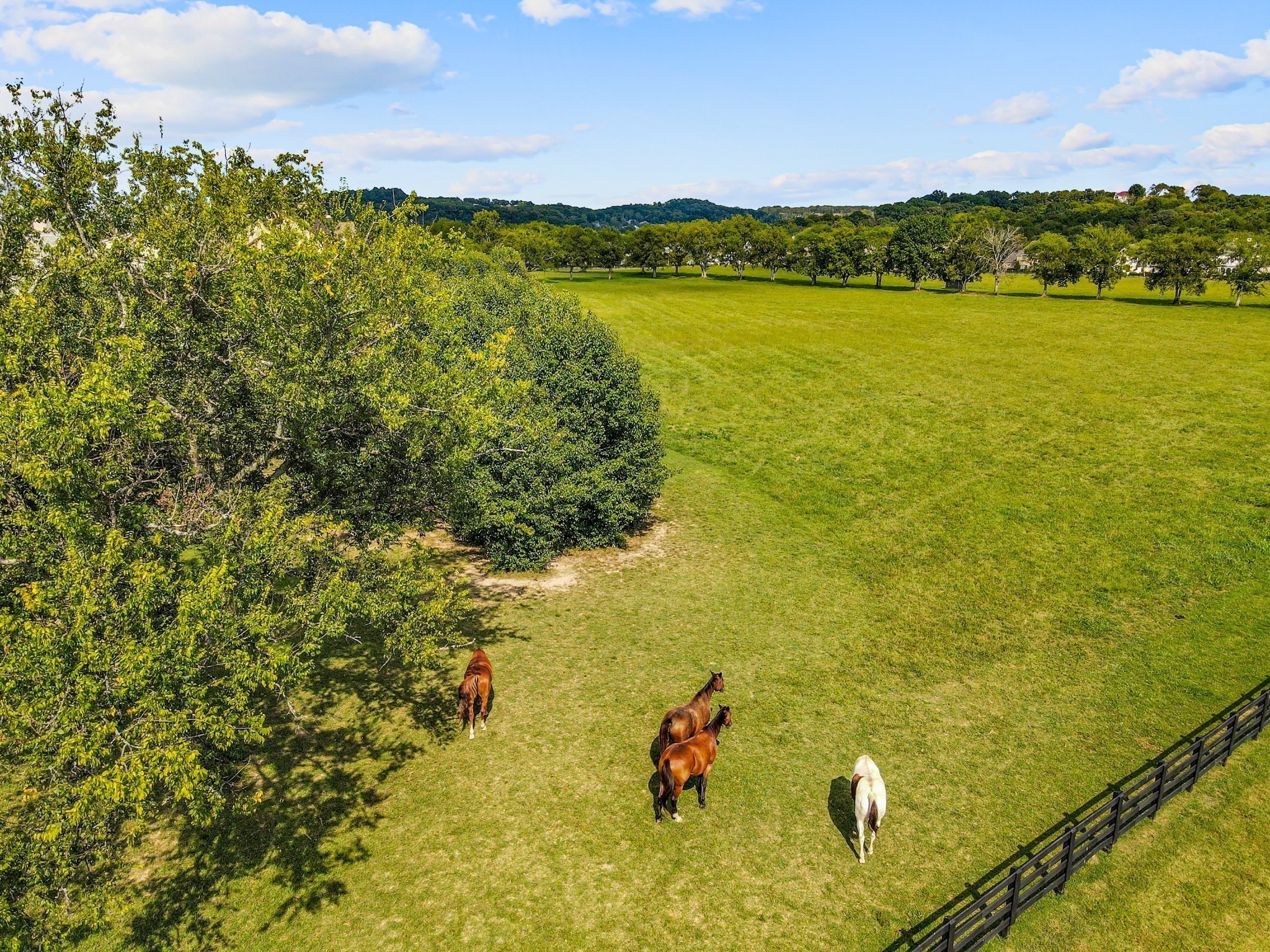 5009 Native Pony Trl