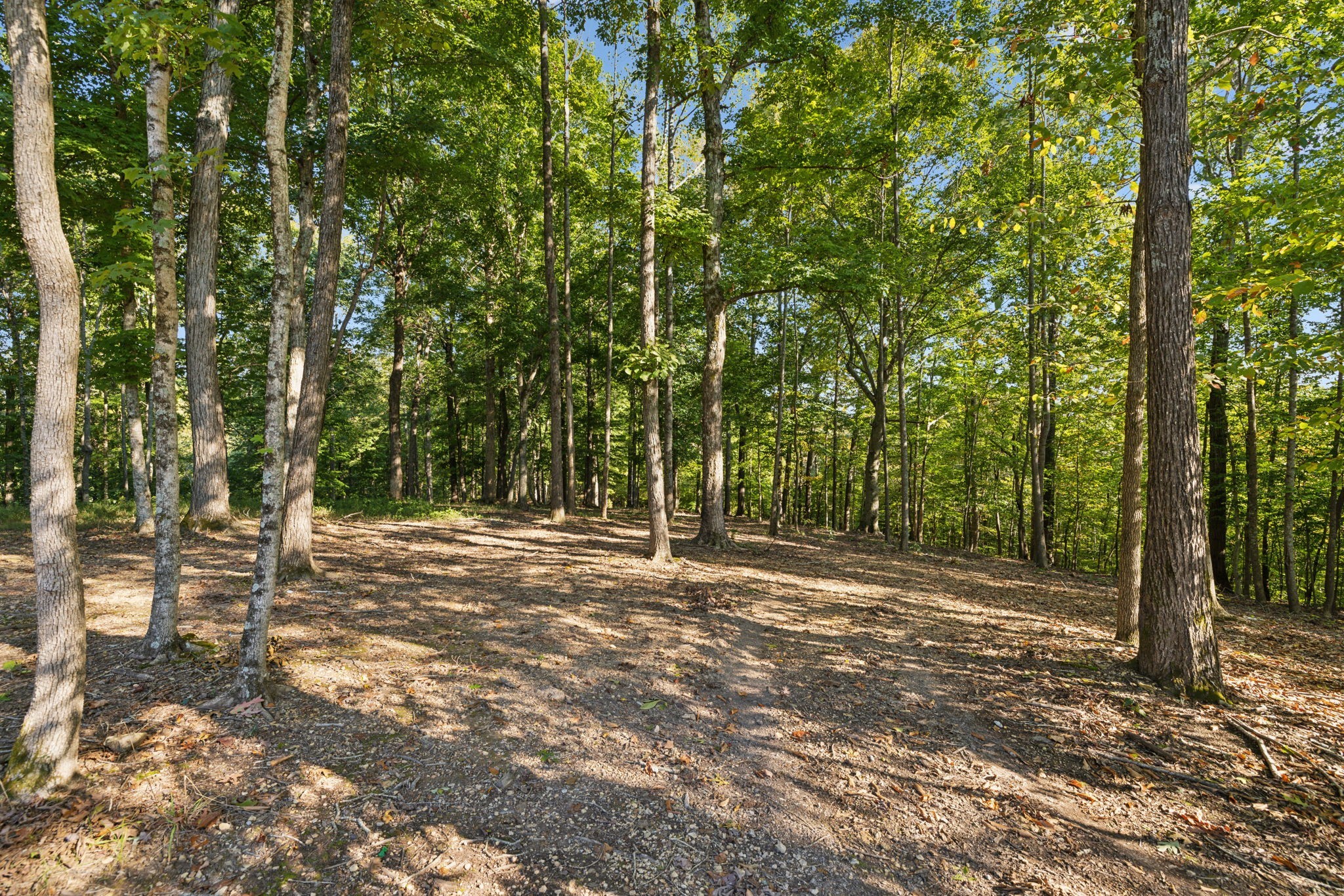 5600 Parker Branch Trl