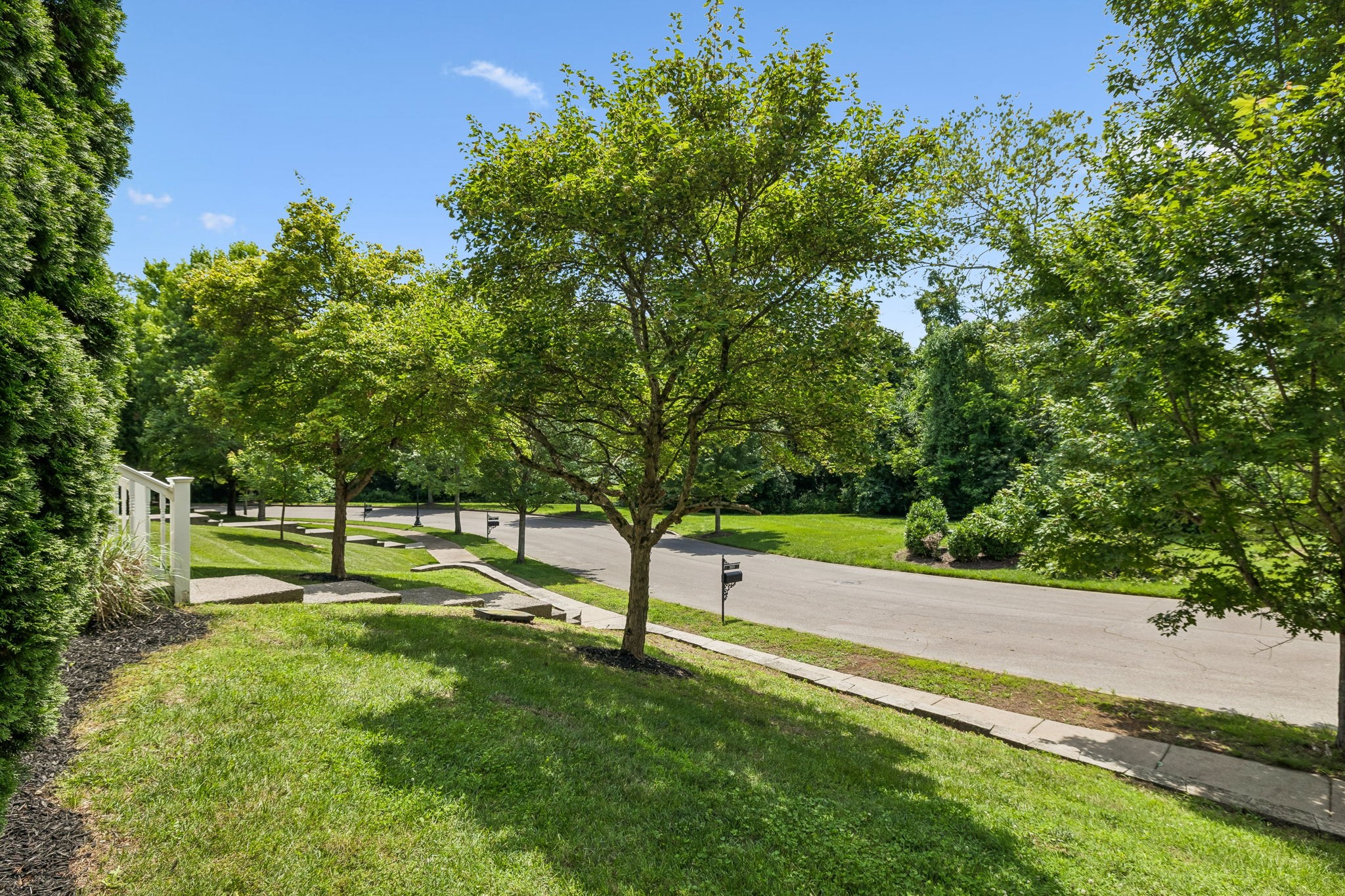 303 Verde Meadow Dr