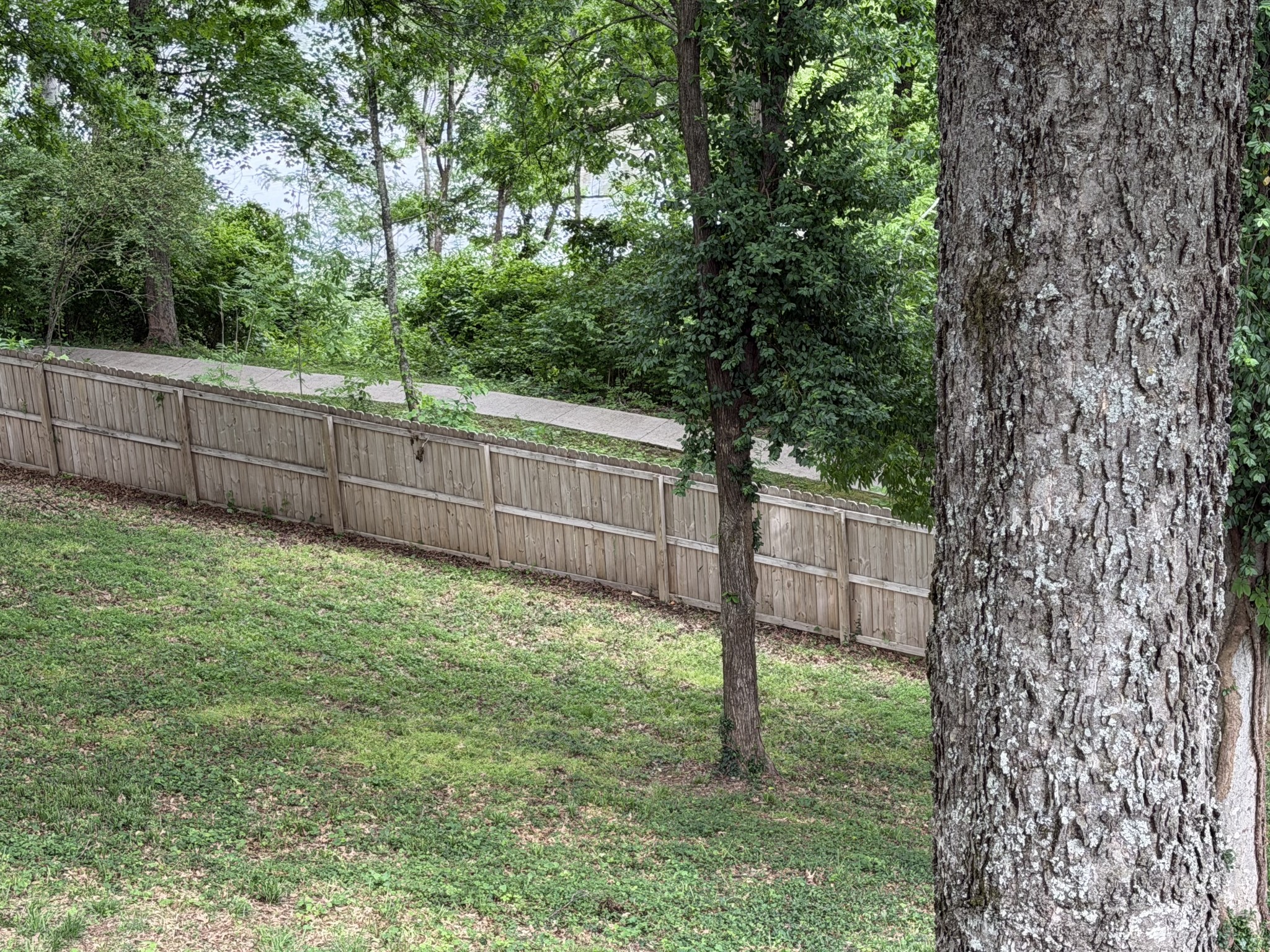 5509 Cottonport Dr