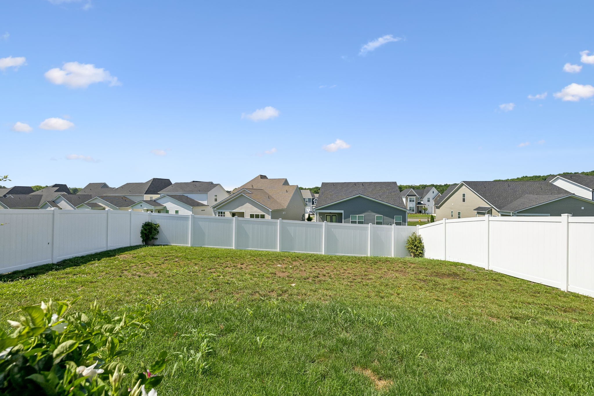 648 Whitetail Court