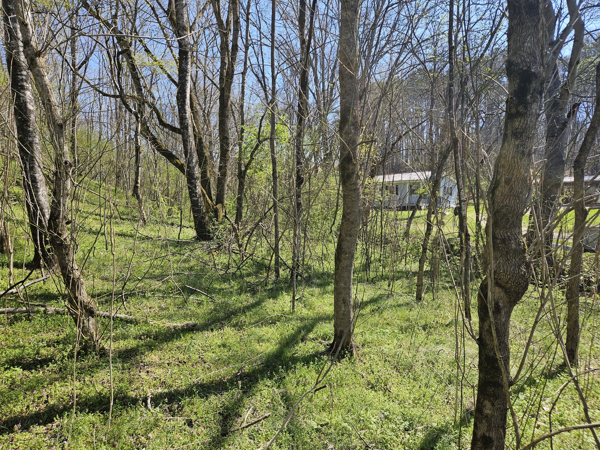 2515 Smith Hollow Rd