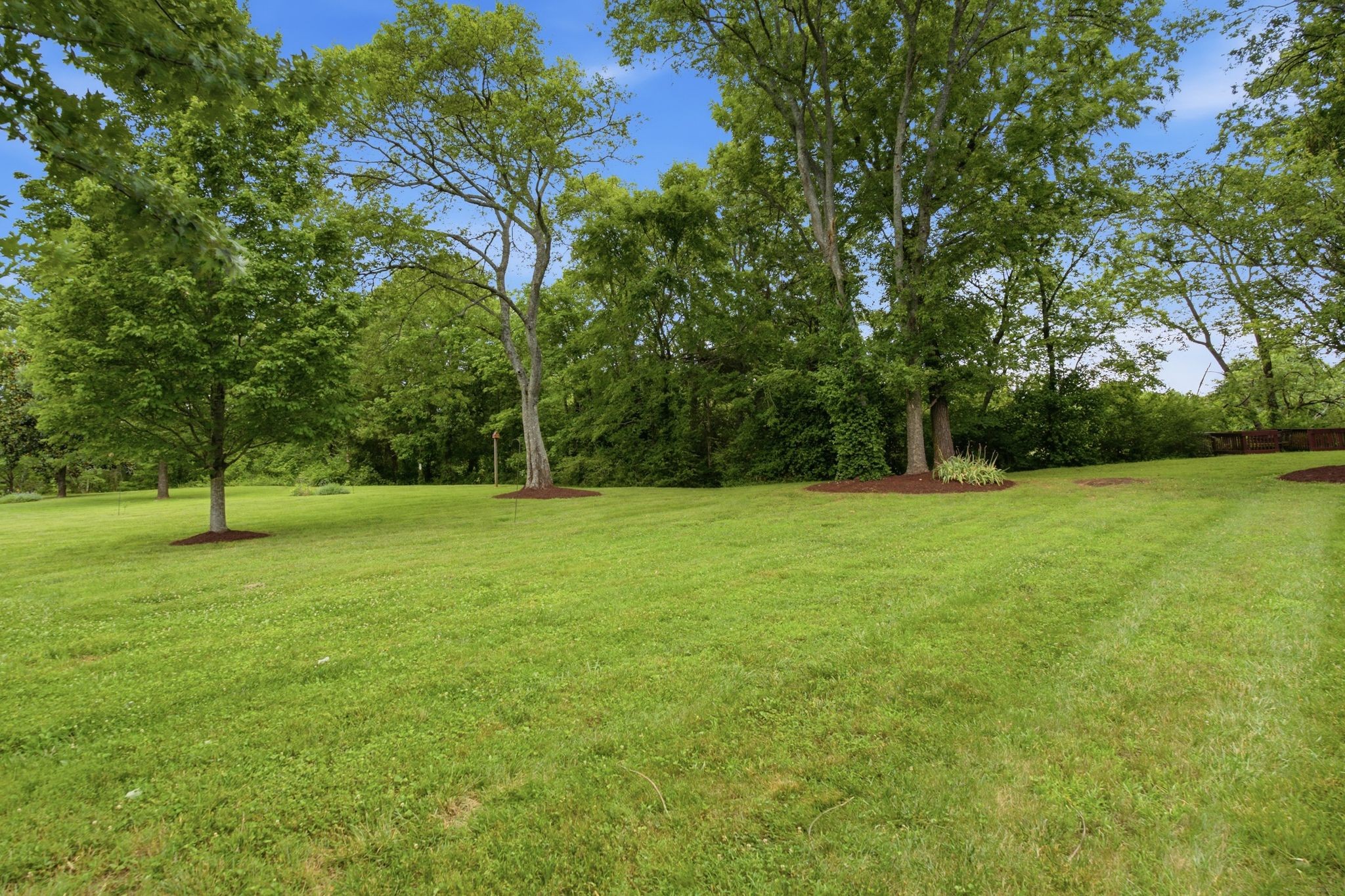 1939 Cliffview Ct