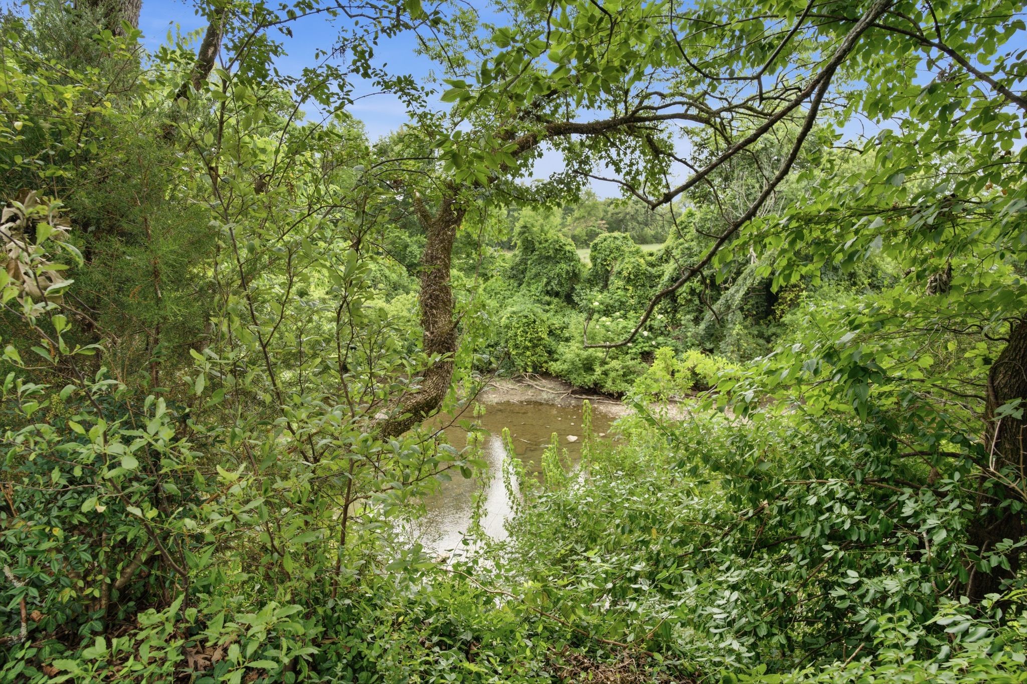 1939 Cliffview Ct
