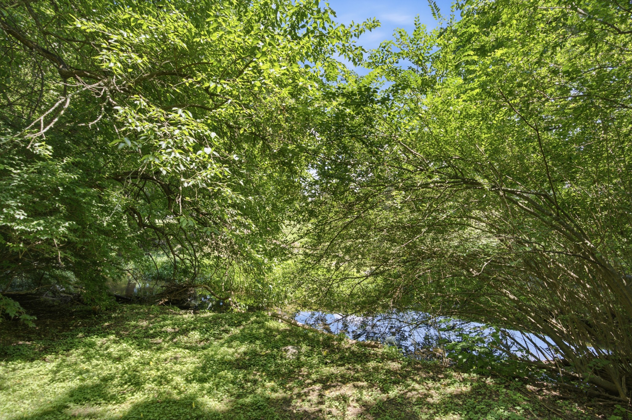 210 Stillcreek Dr