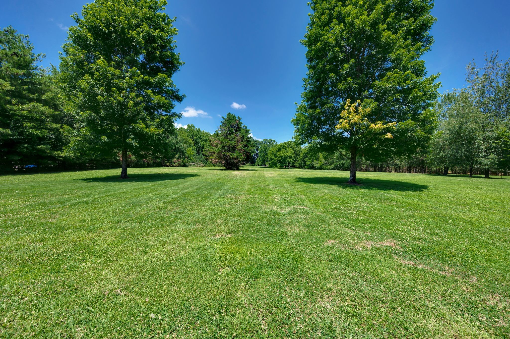 4450 S Carothers Rd