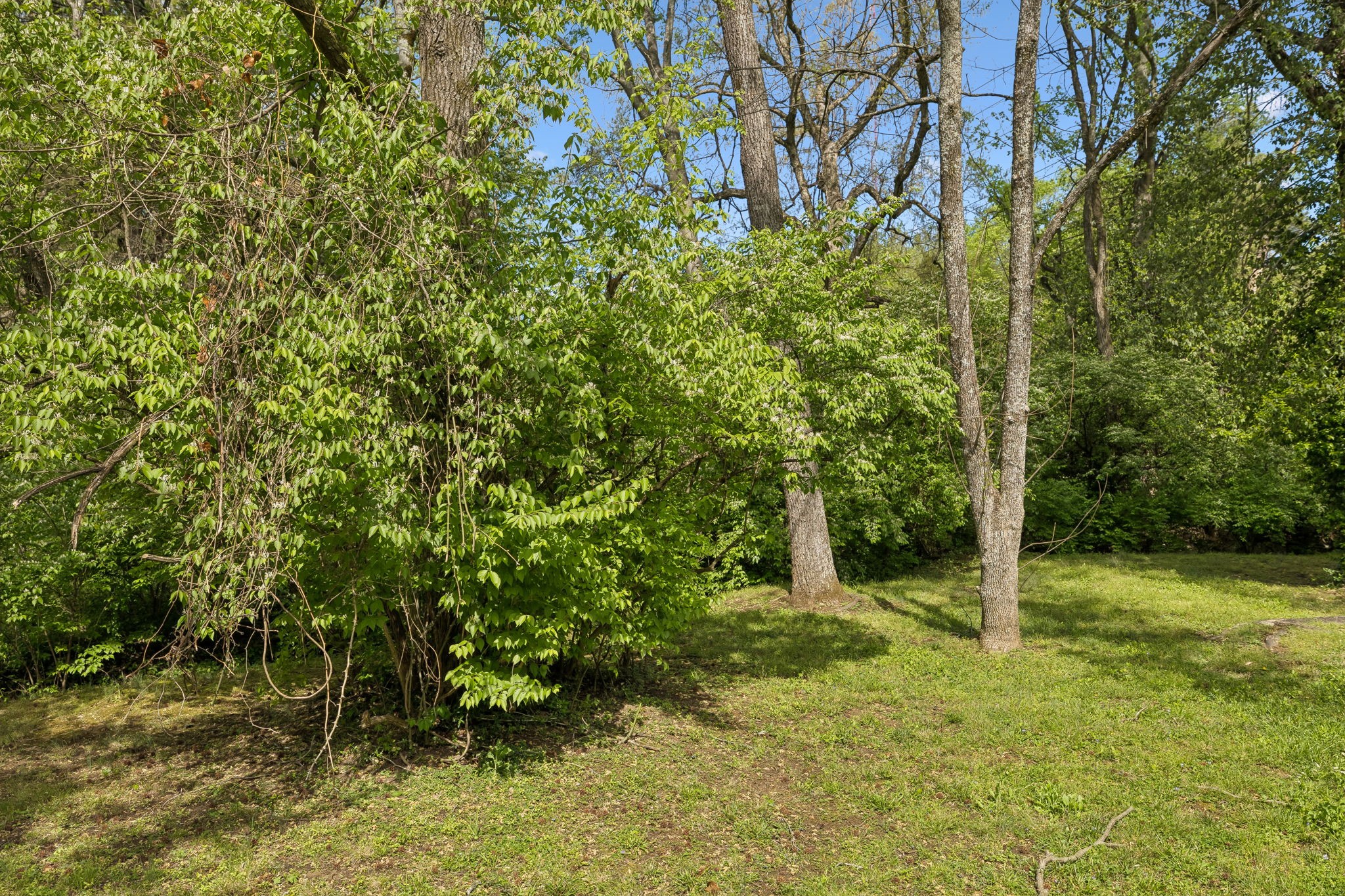 1307 Old Hickory Blvd