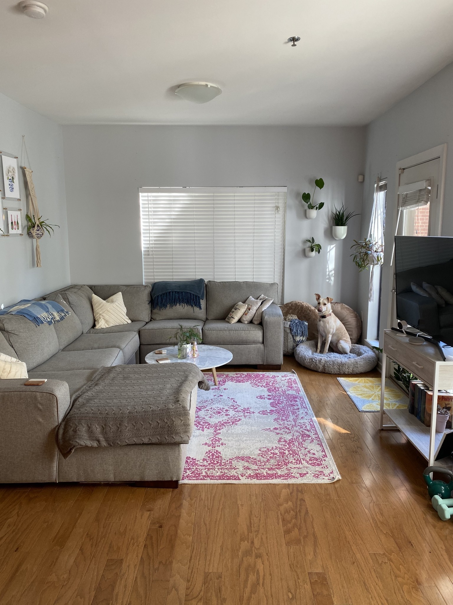 1803 Broadway Unit: 203