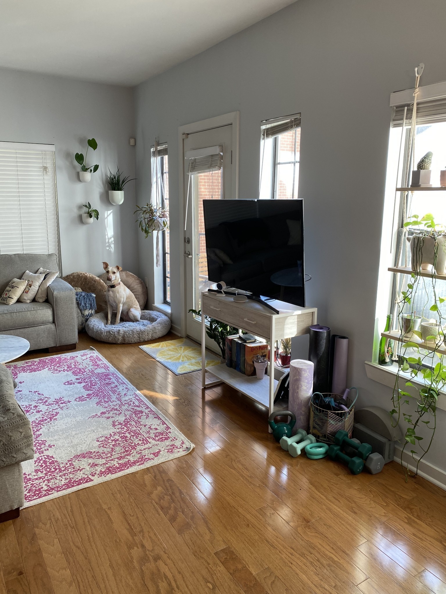 1803 Broadway Unit: 203