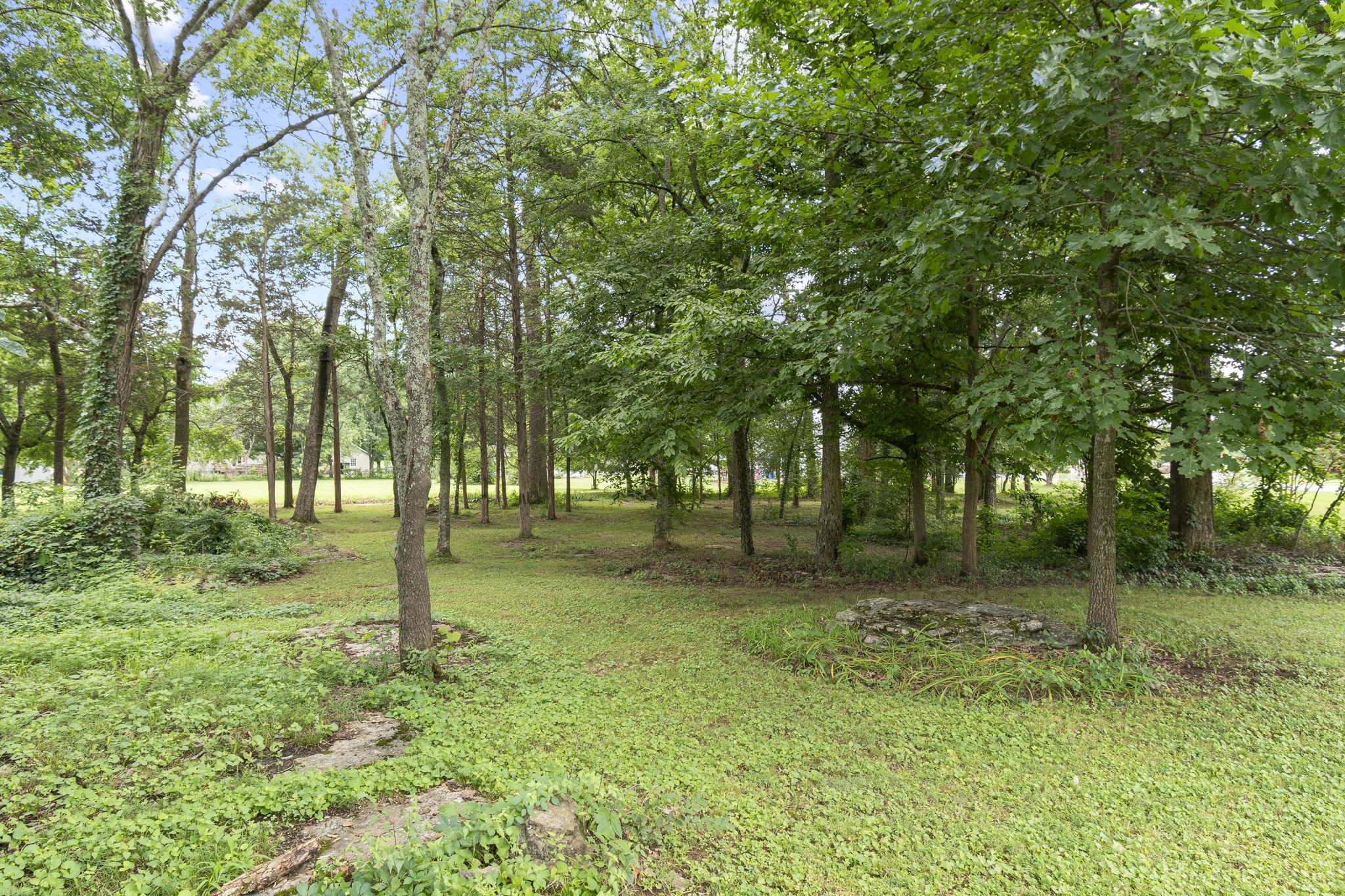 1052 Pleasant Run Rd