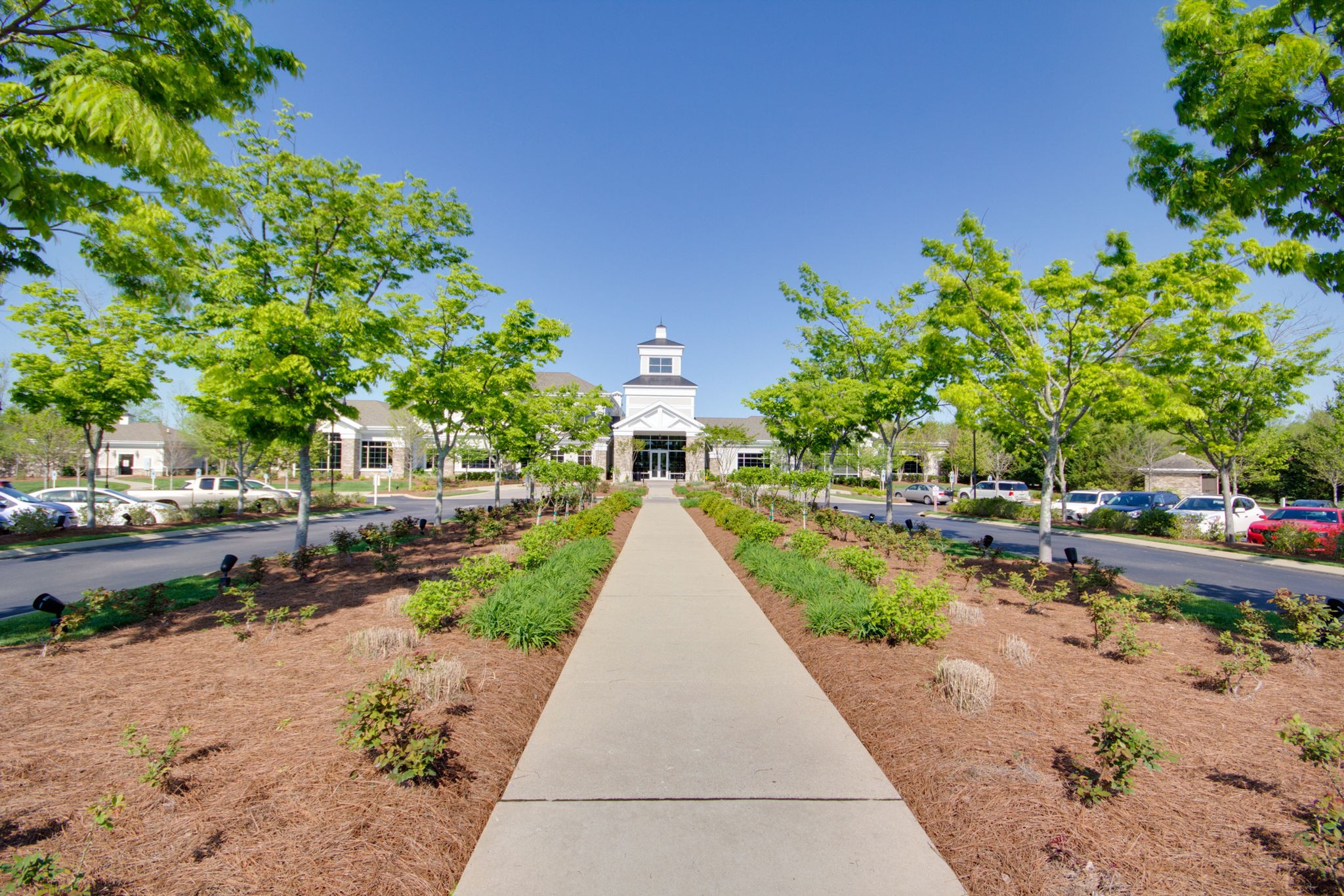 215 Old Towne Drive