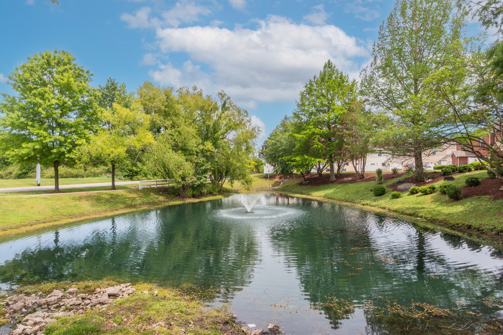 1055 Somerset Springs Dr